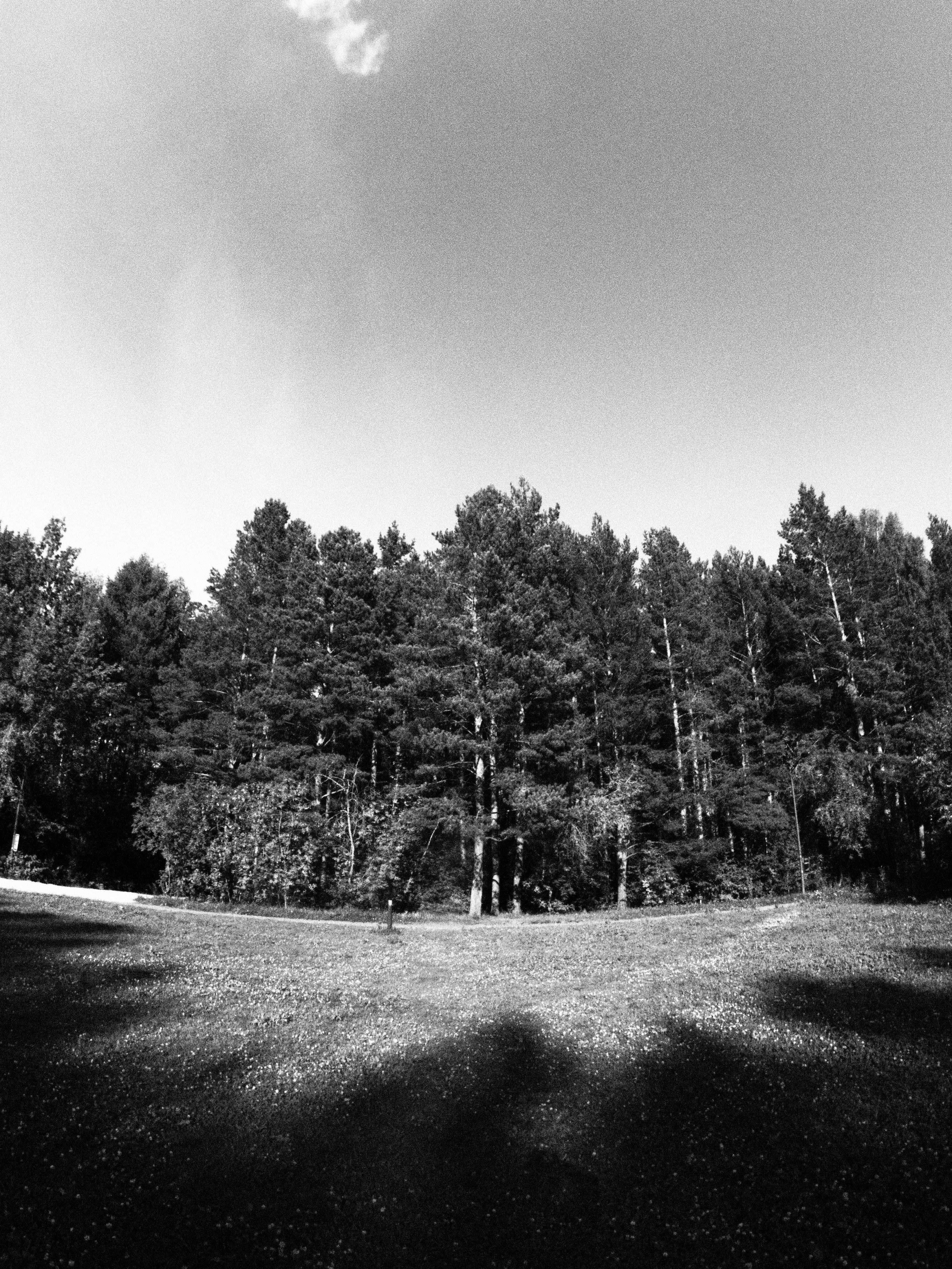 Промежуточные моменты (2023)