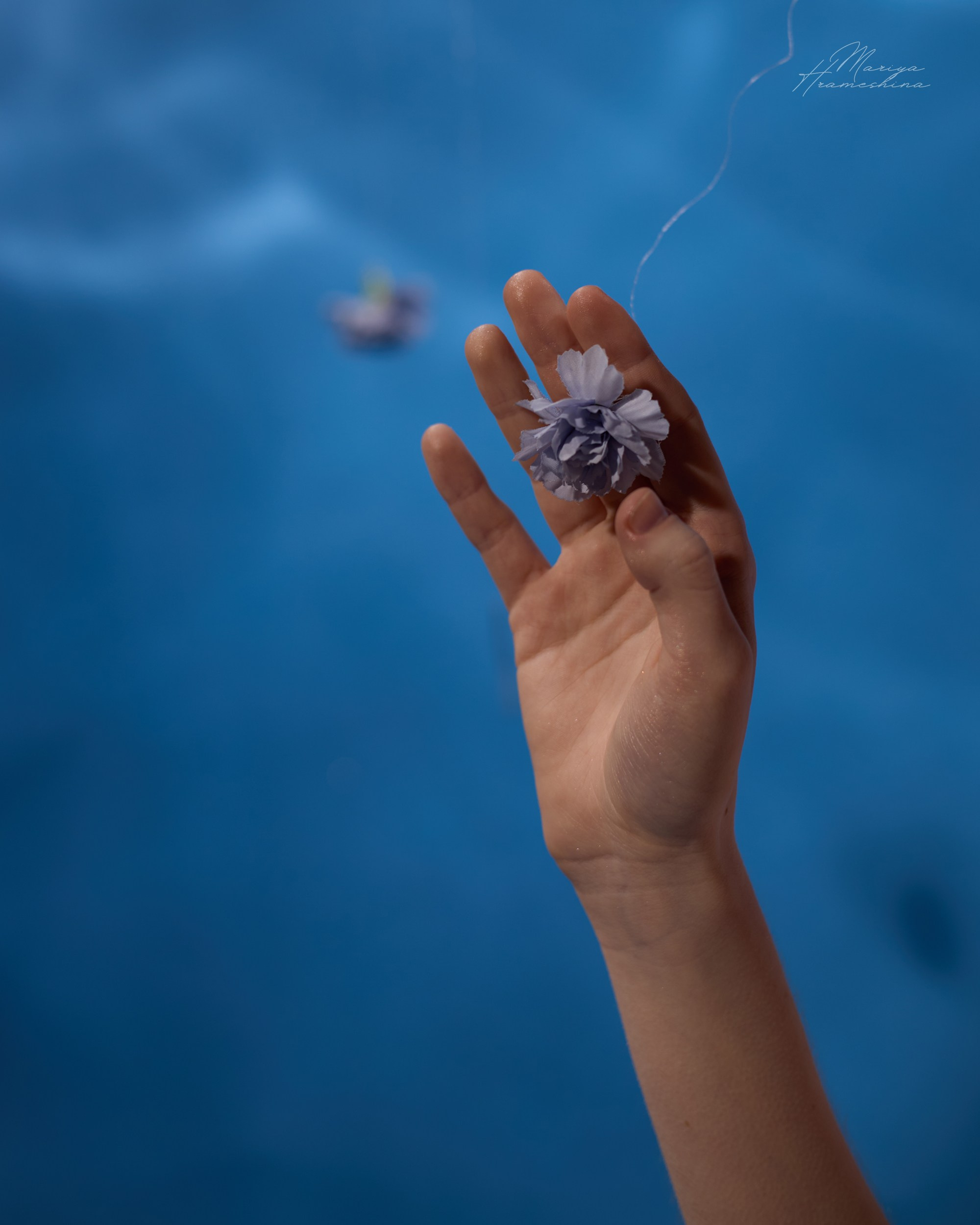 Обучение и воршопы. Фотограф, мобилограф Ростов-на-Дону