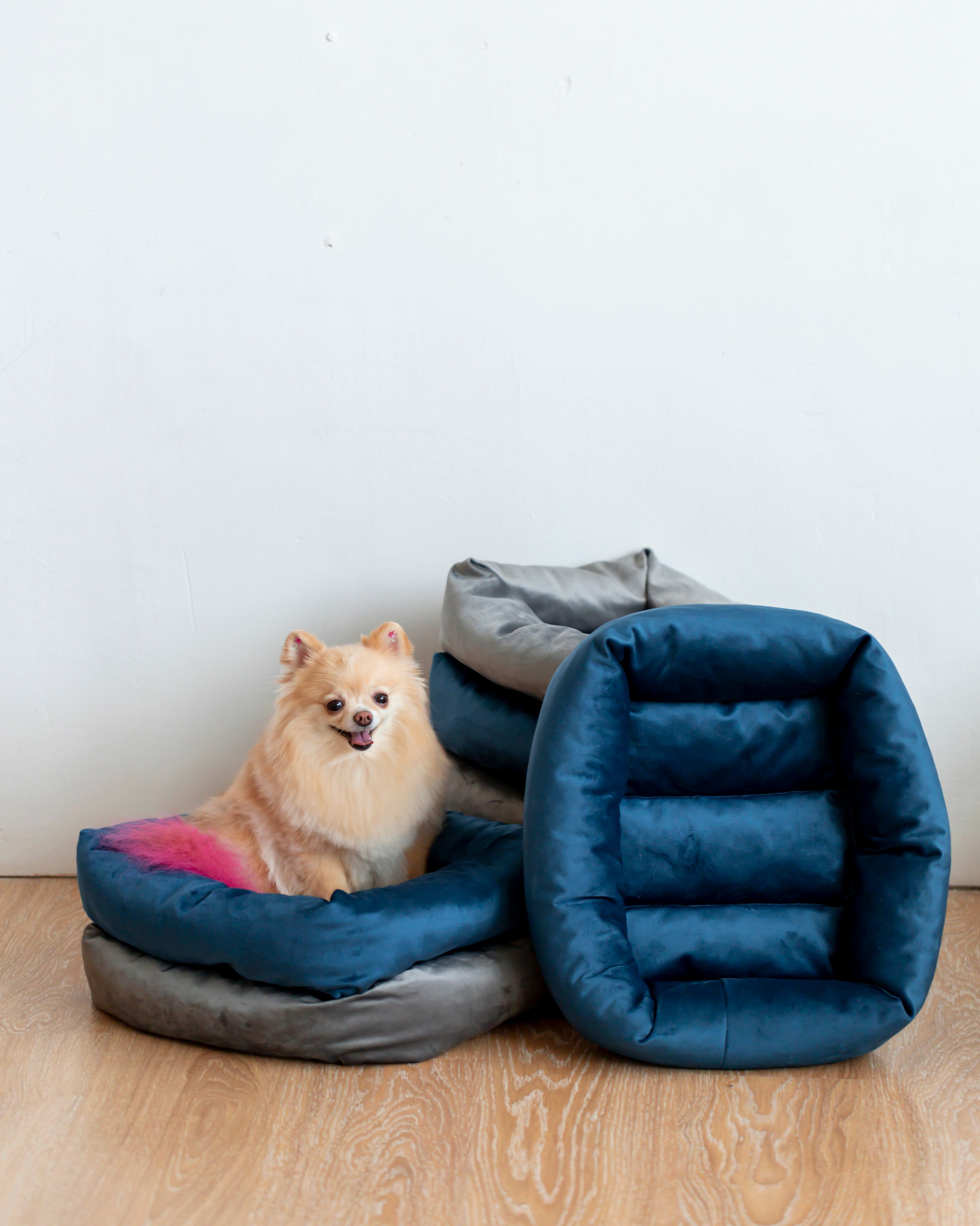 Лежанки для животных. Предметный & фудфотограф Рязань