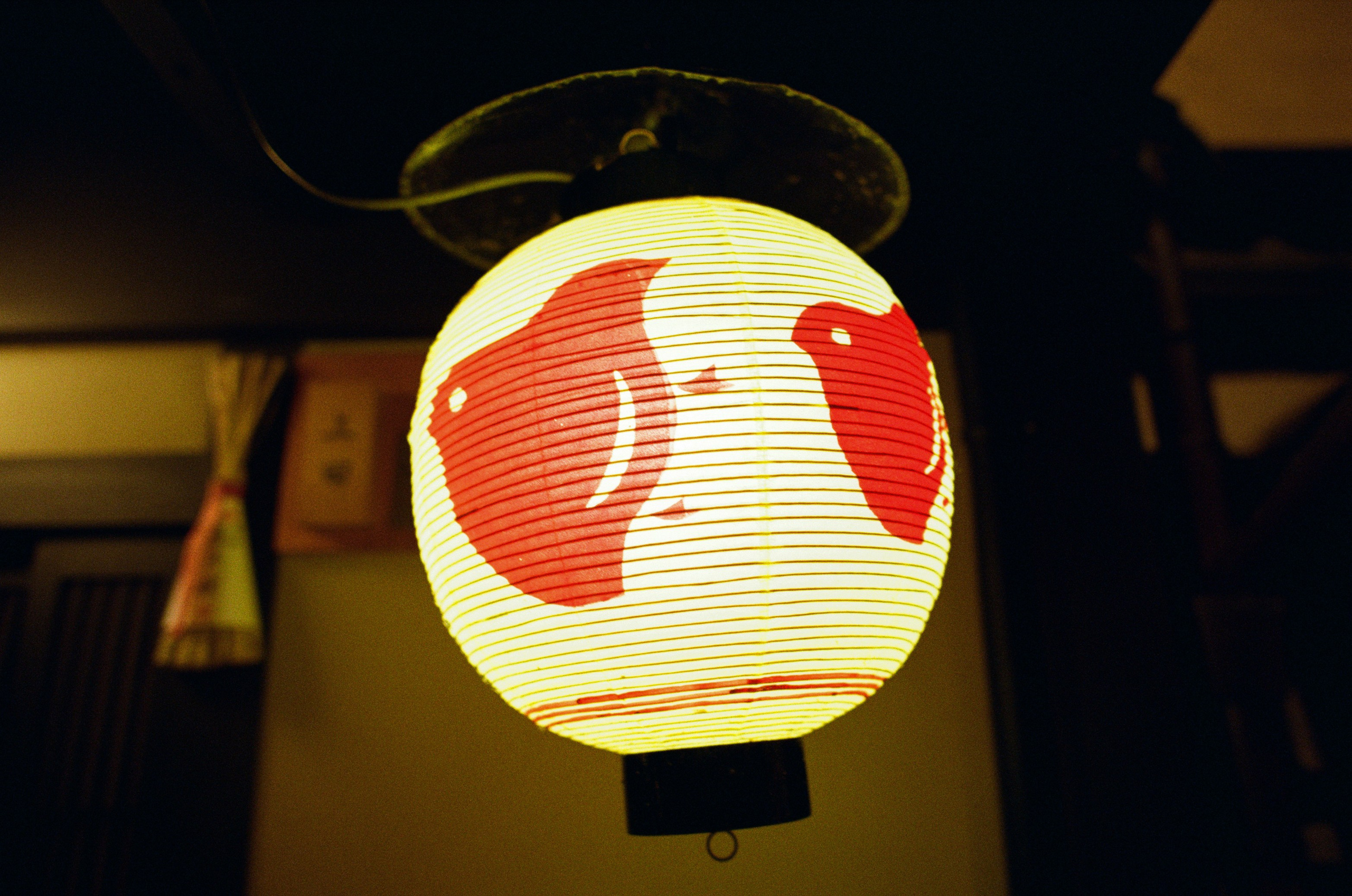 Out of noise // japan, kyoto V. EVER EXPOSED