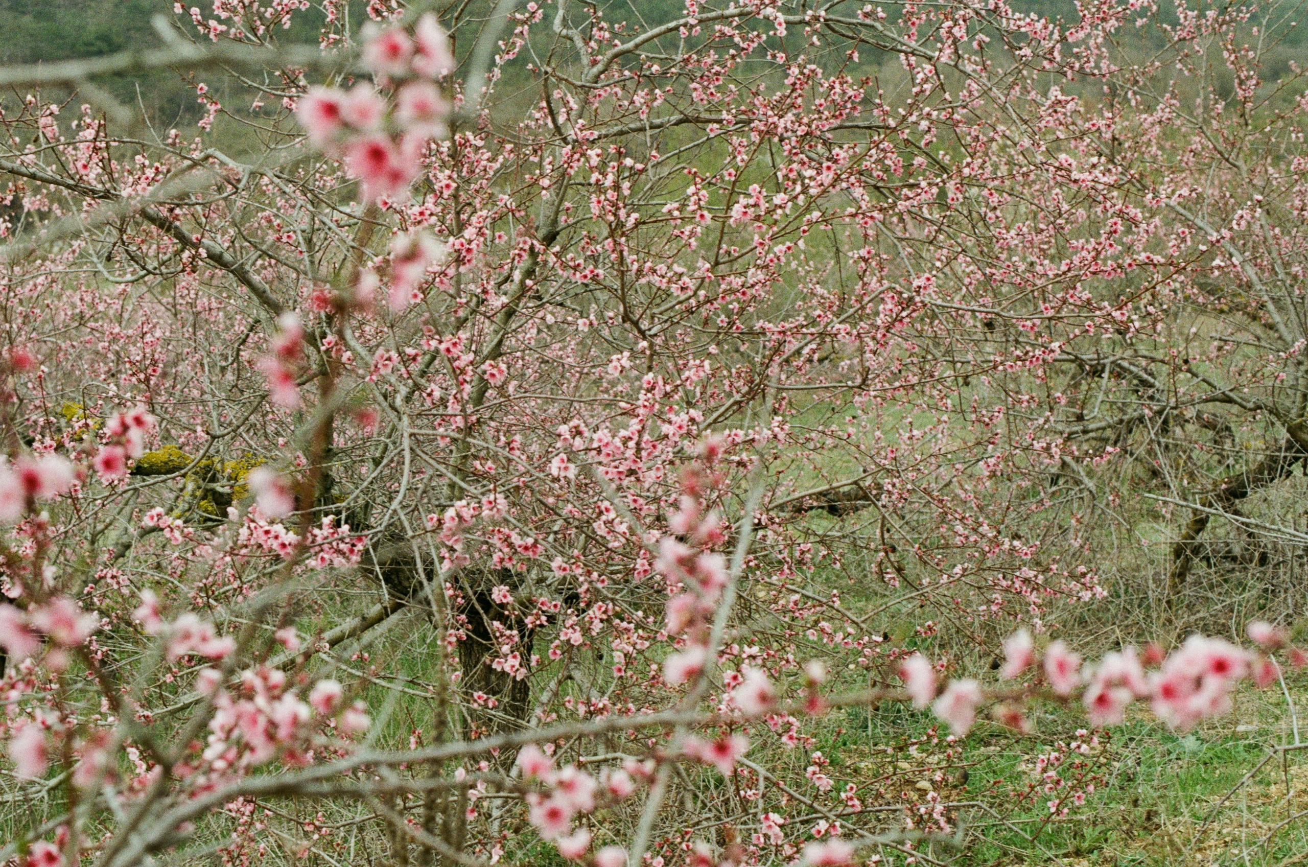 Some kind of madness // ukraine, crimea IV. EVER EXPOSED