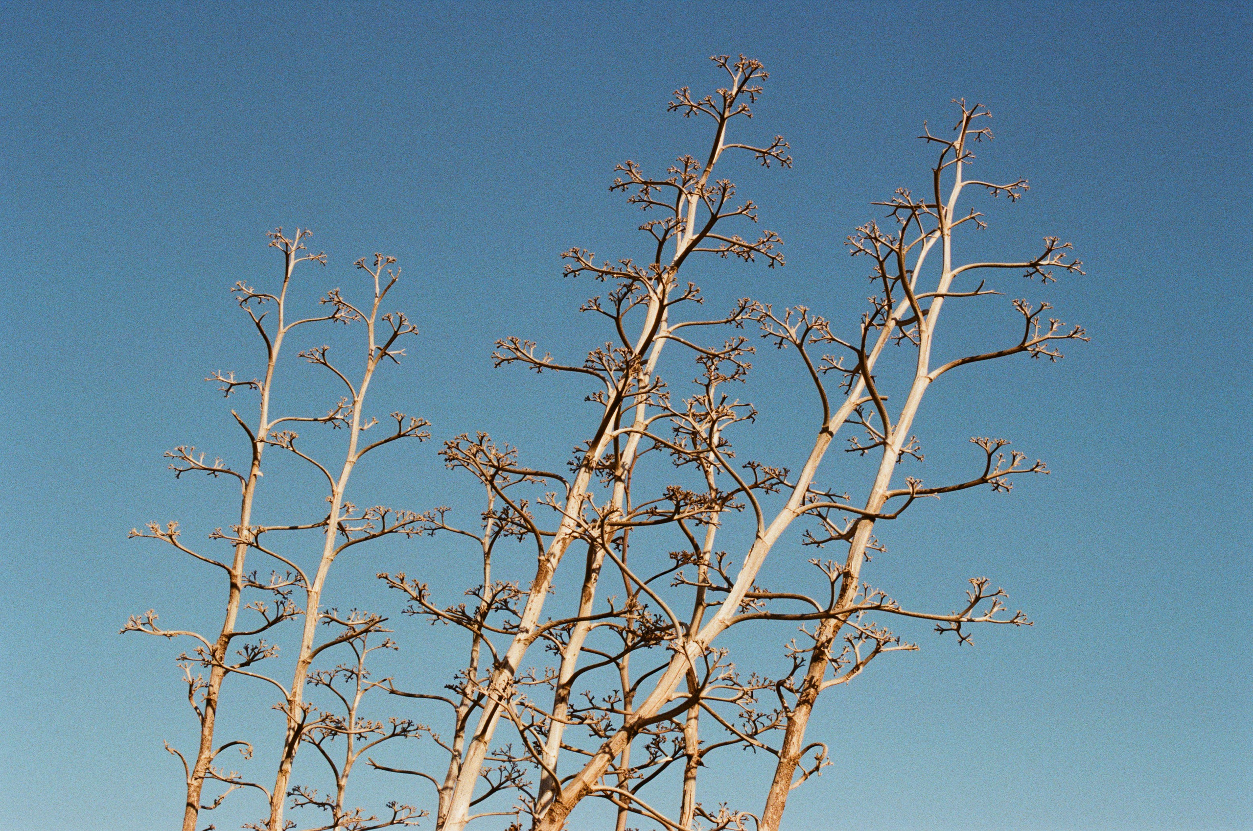 Spanish sahara // spain, cabo de gata. EVER EXPOSED