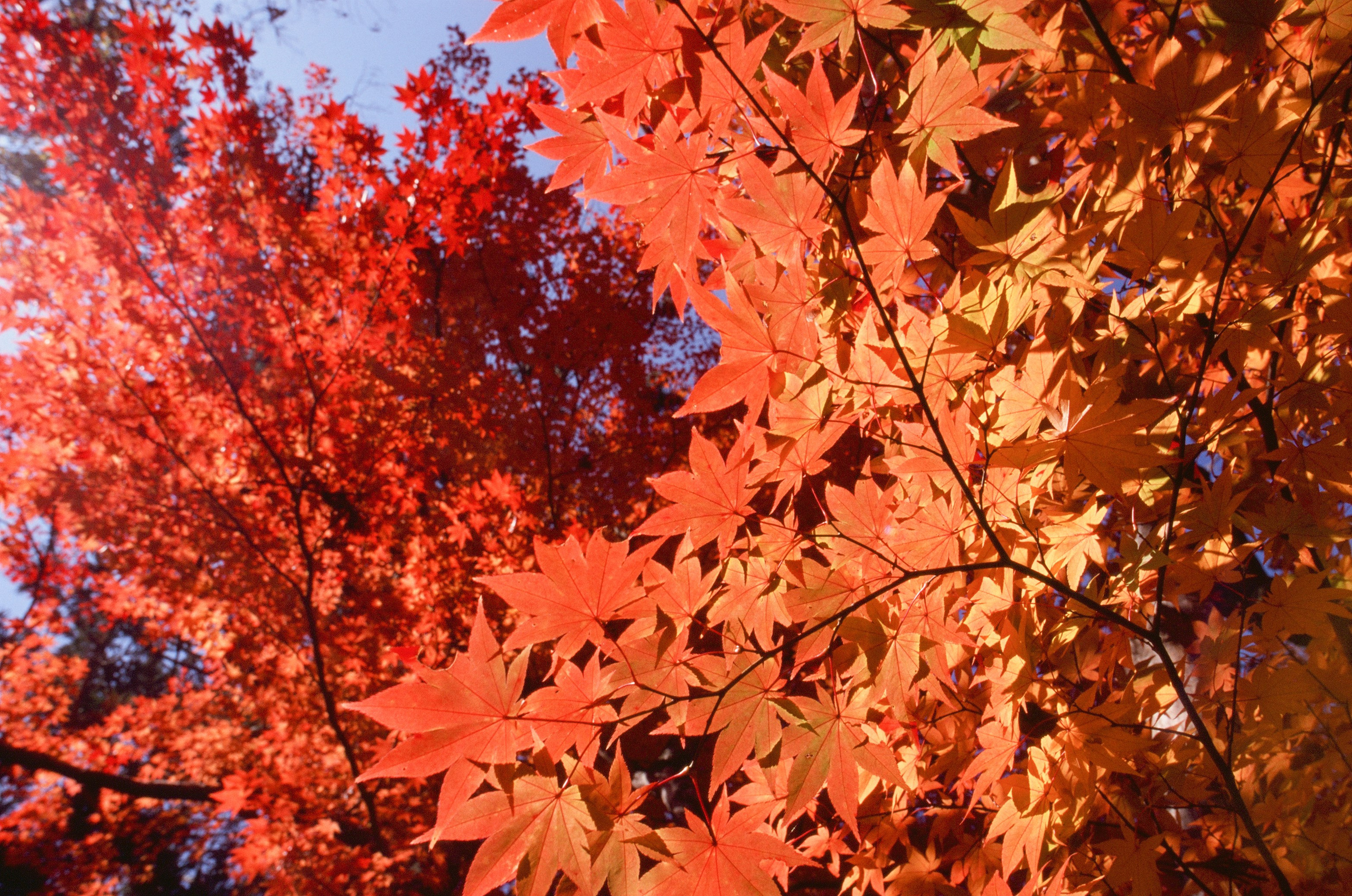 Out of noise // japan, takayama III. EVER EXPOSED