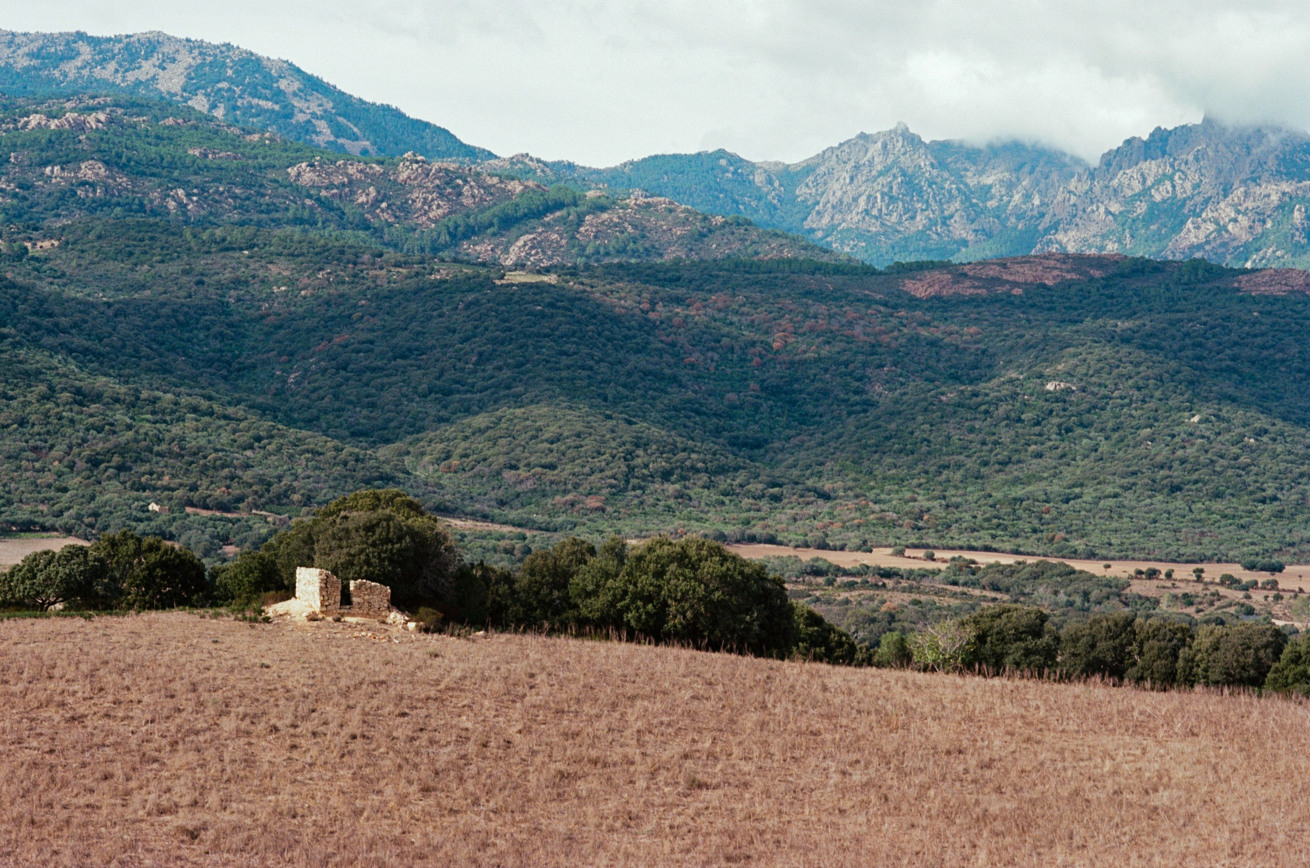 Silence is also an answer // corsica. EVER EXPOSED