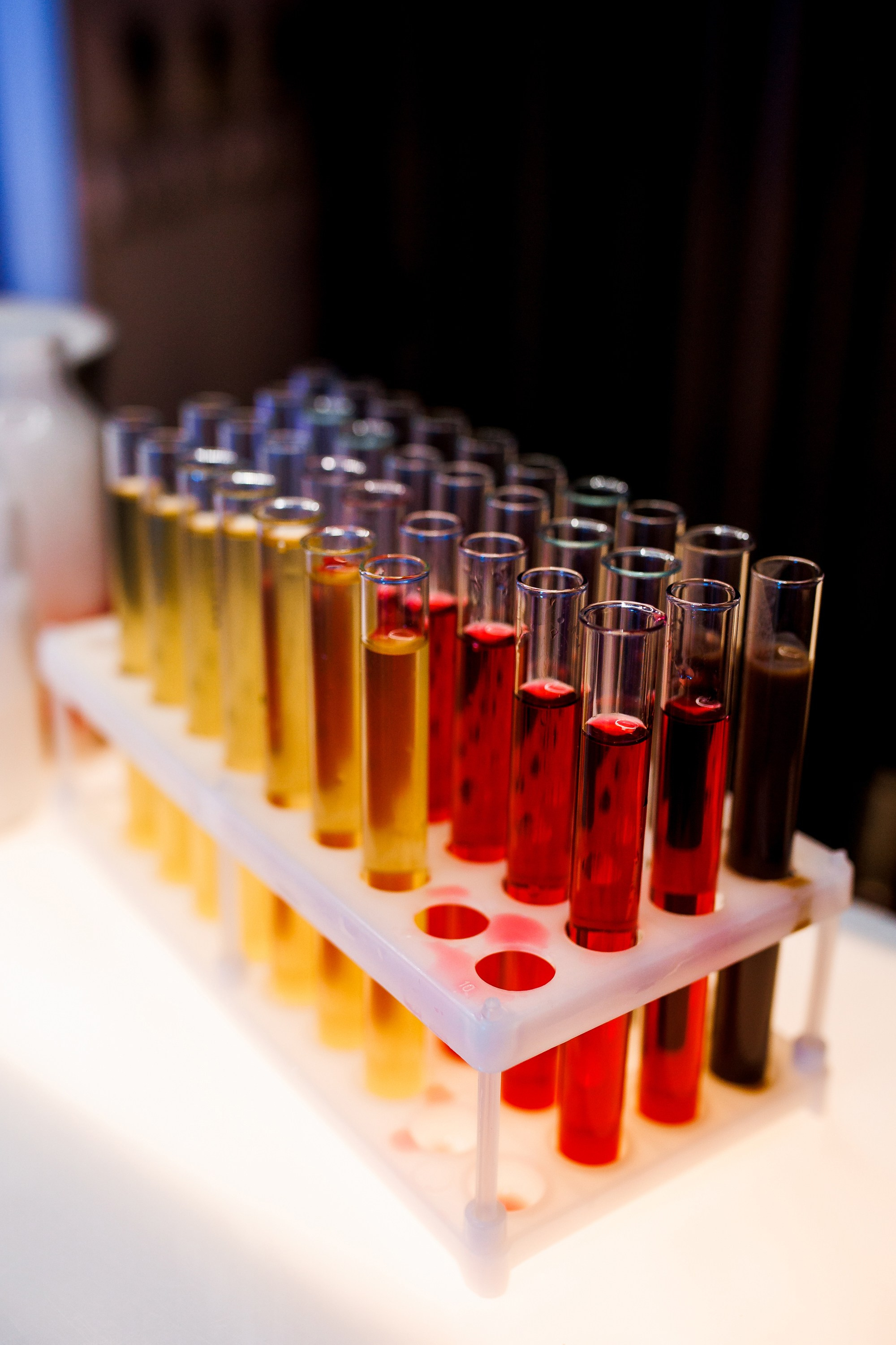 Veraxen CITY. Свадебный фотограф Каледич Тимофей