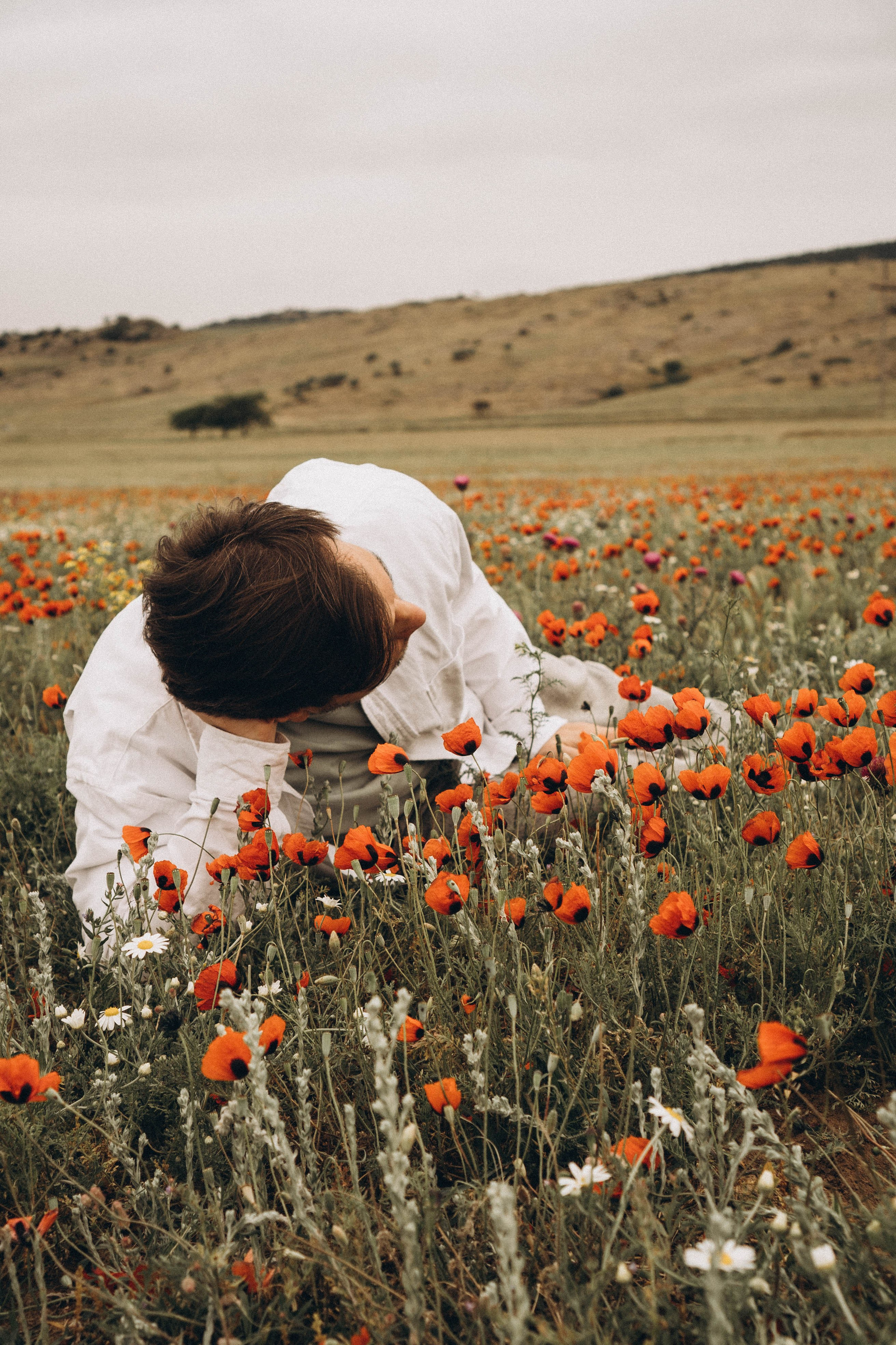 Маки. Профессиональный фотограф, Санкт-Петербург — Виктория Богомолова