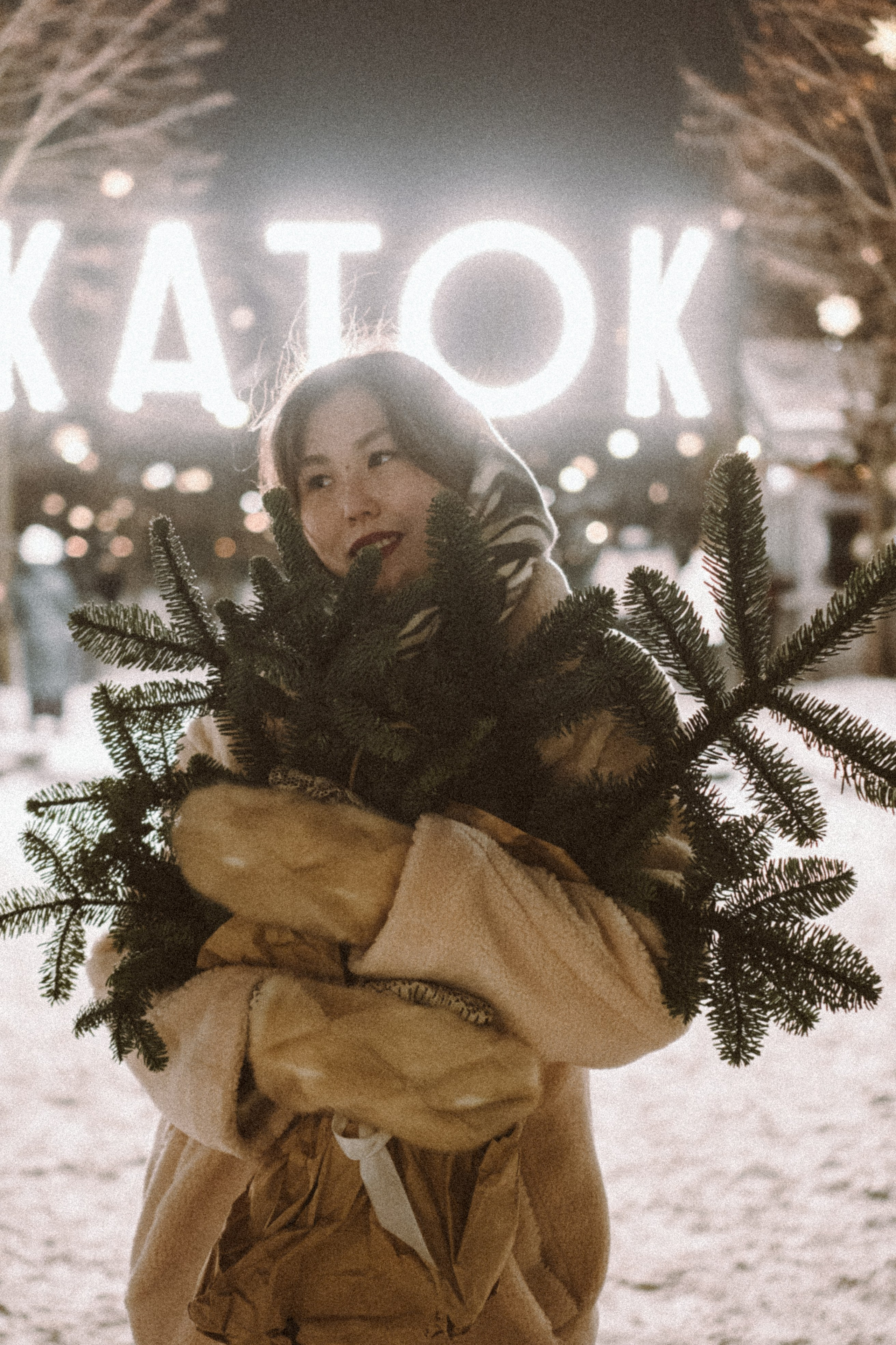 Зимняя сказка в Новой Голандии. Профессиональный фотограф, Санкт-Петербург — Виктория Богомолова