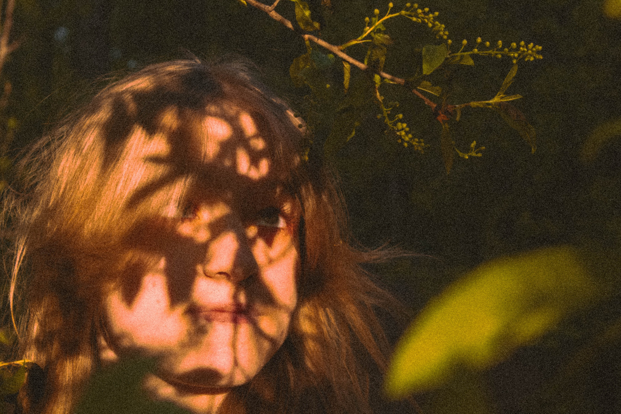 «Без названия»