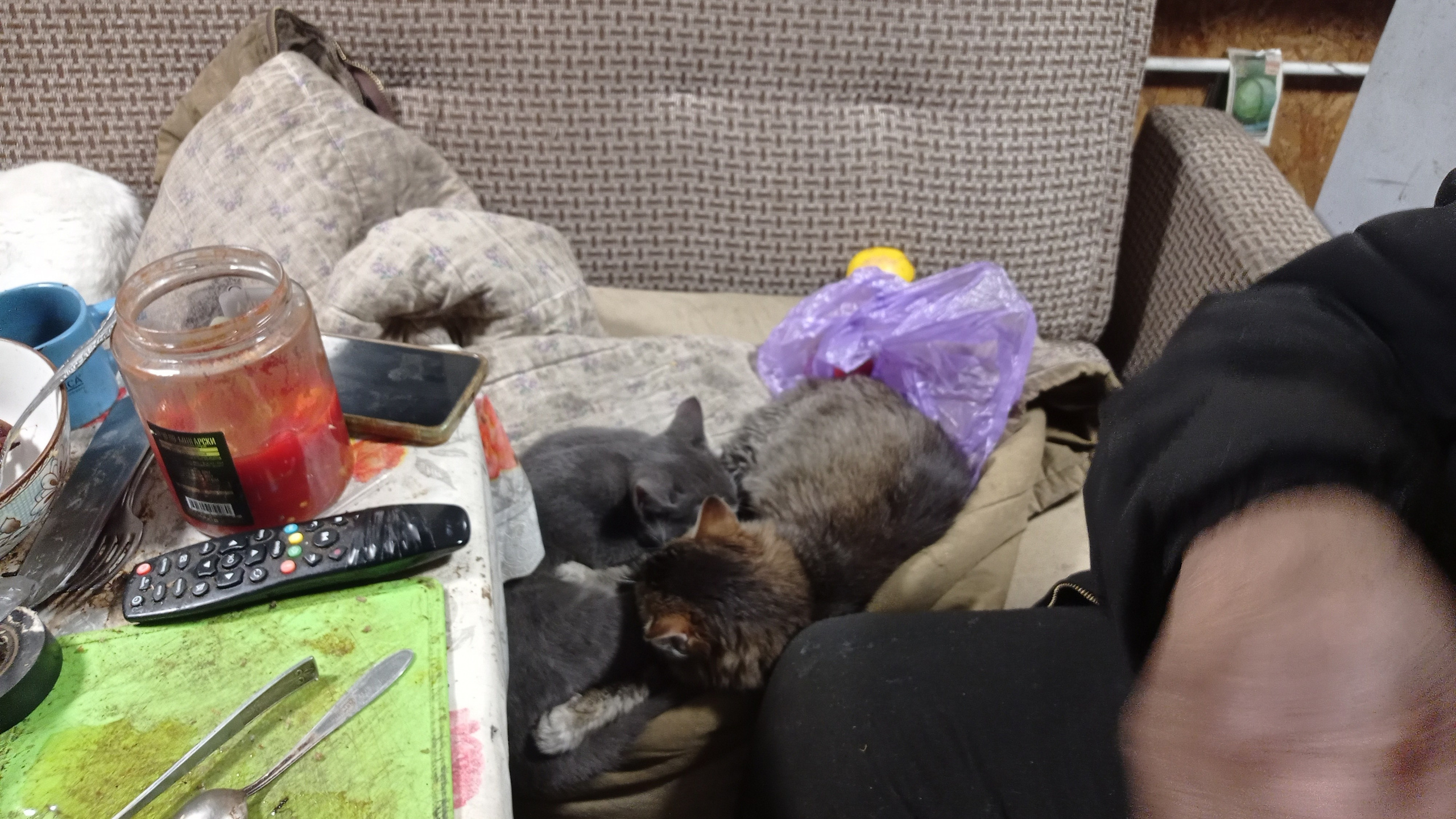 Рождество Христово 2026. Собор Отрасли