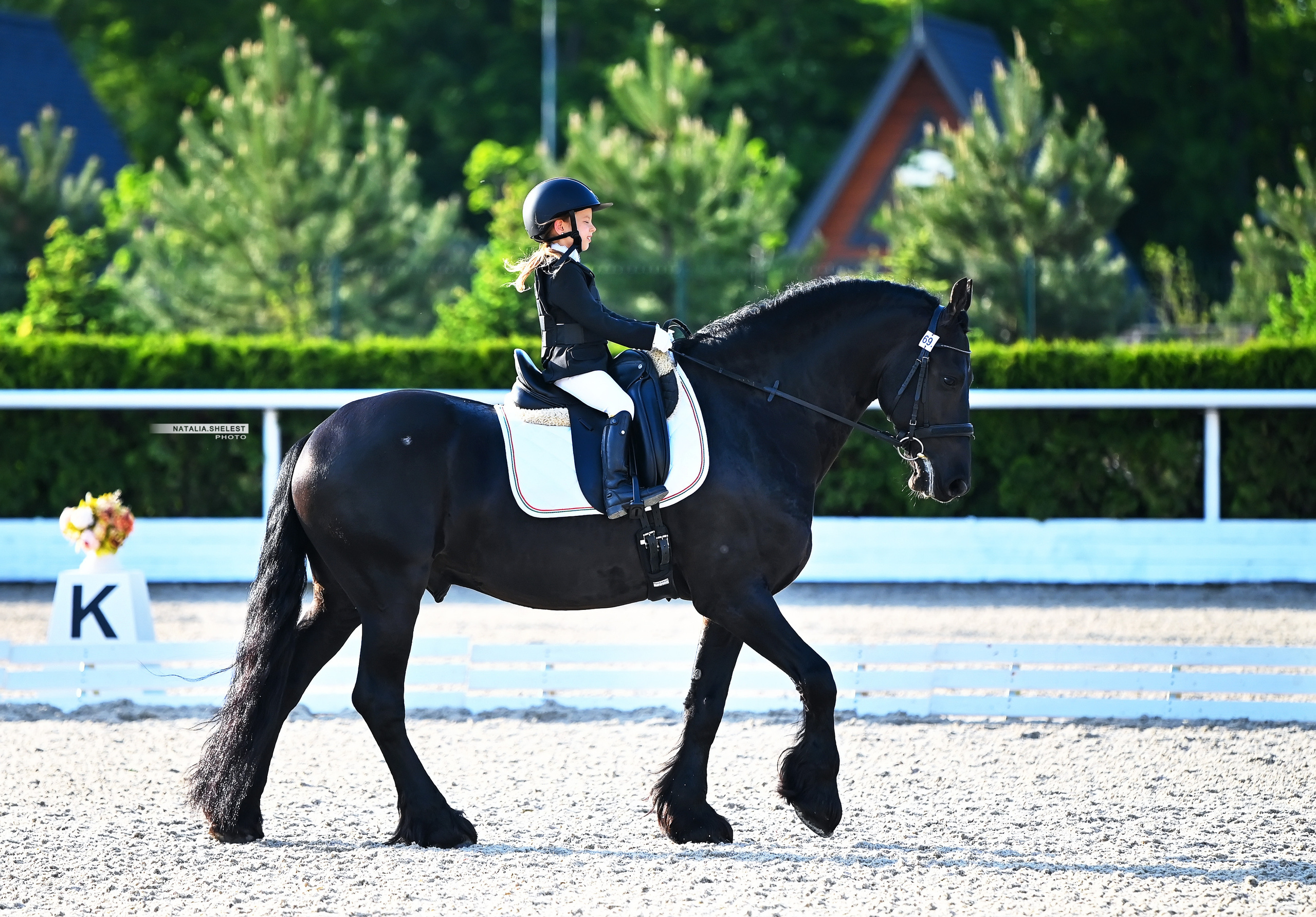 Выездка. Конный портретный фотограф Наталья Шелест