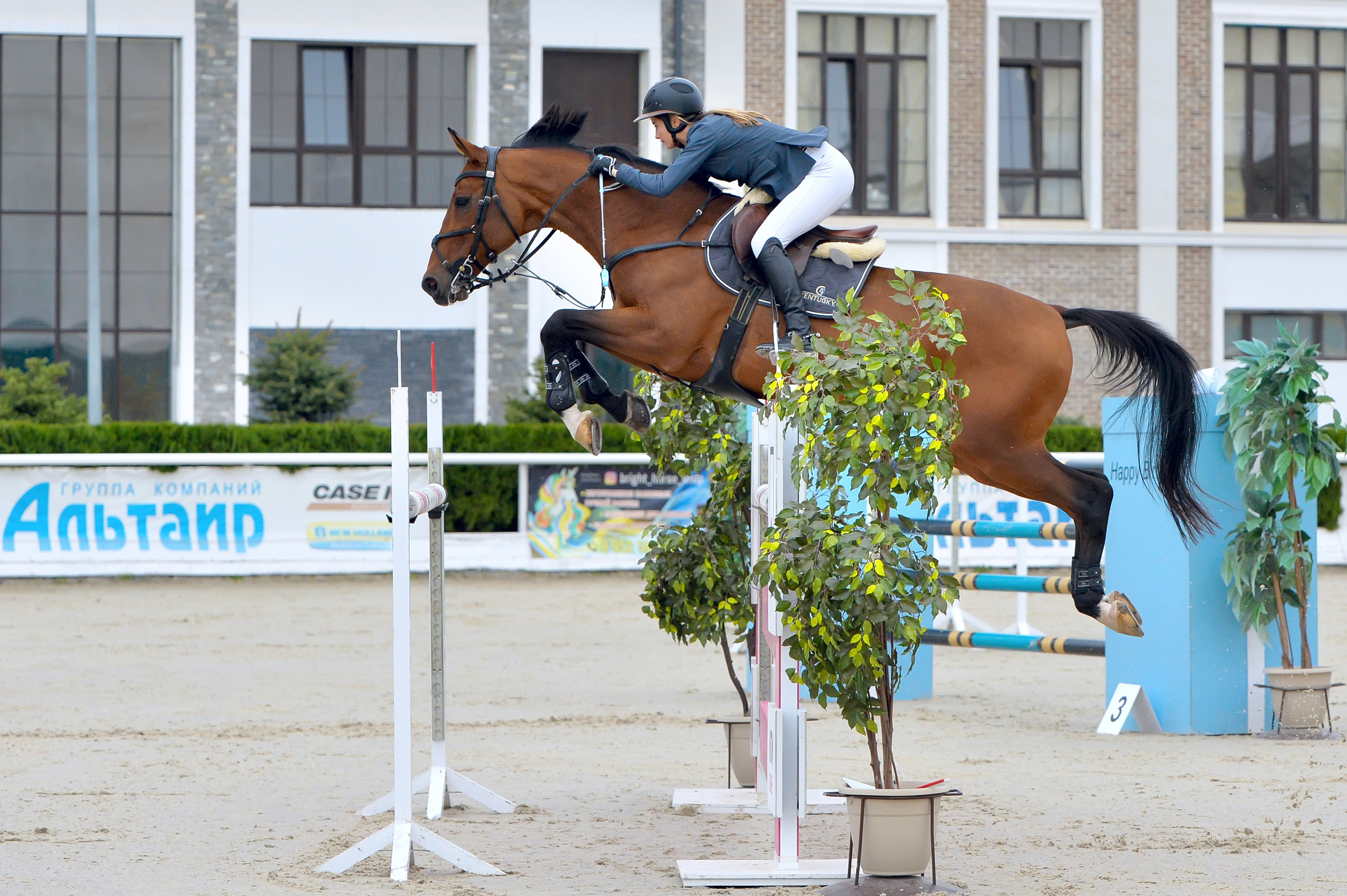 Конкур. Конный портретный фотограф Наталья Шелест