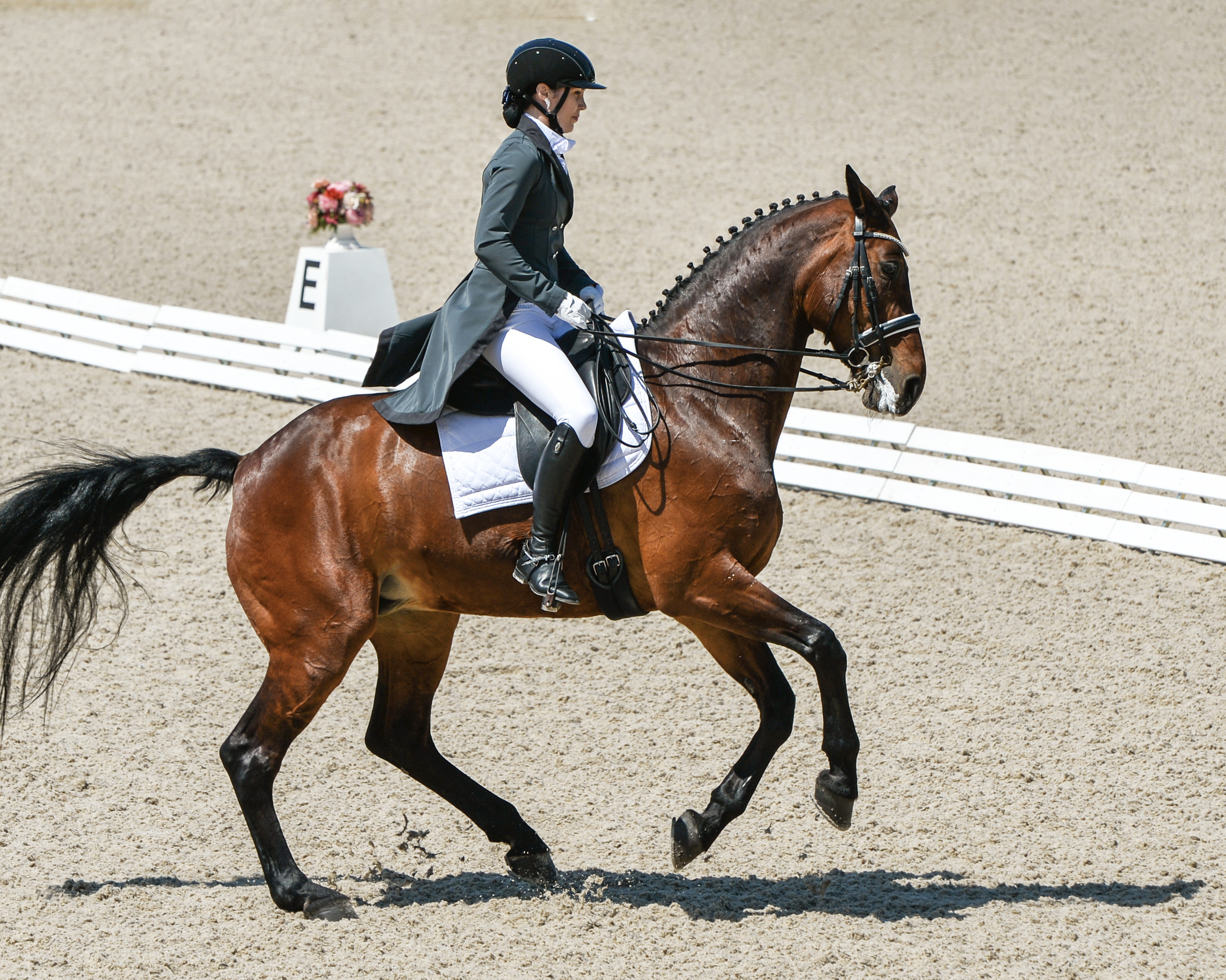 Выездка. Конный портретный фотограф Наталья Шелест