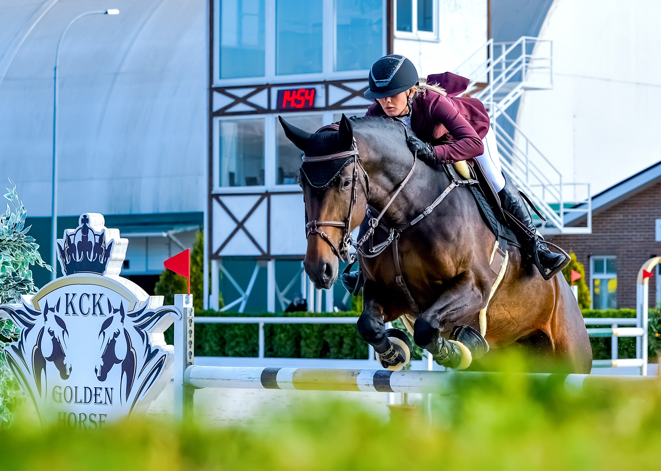 Конкур. Конный портретный фотограф Наталья Шелест
