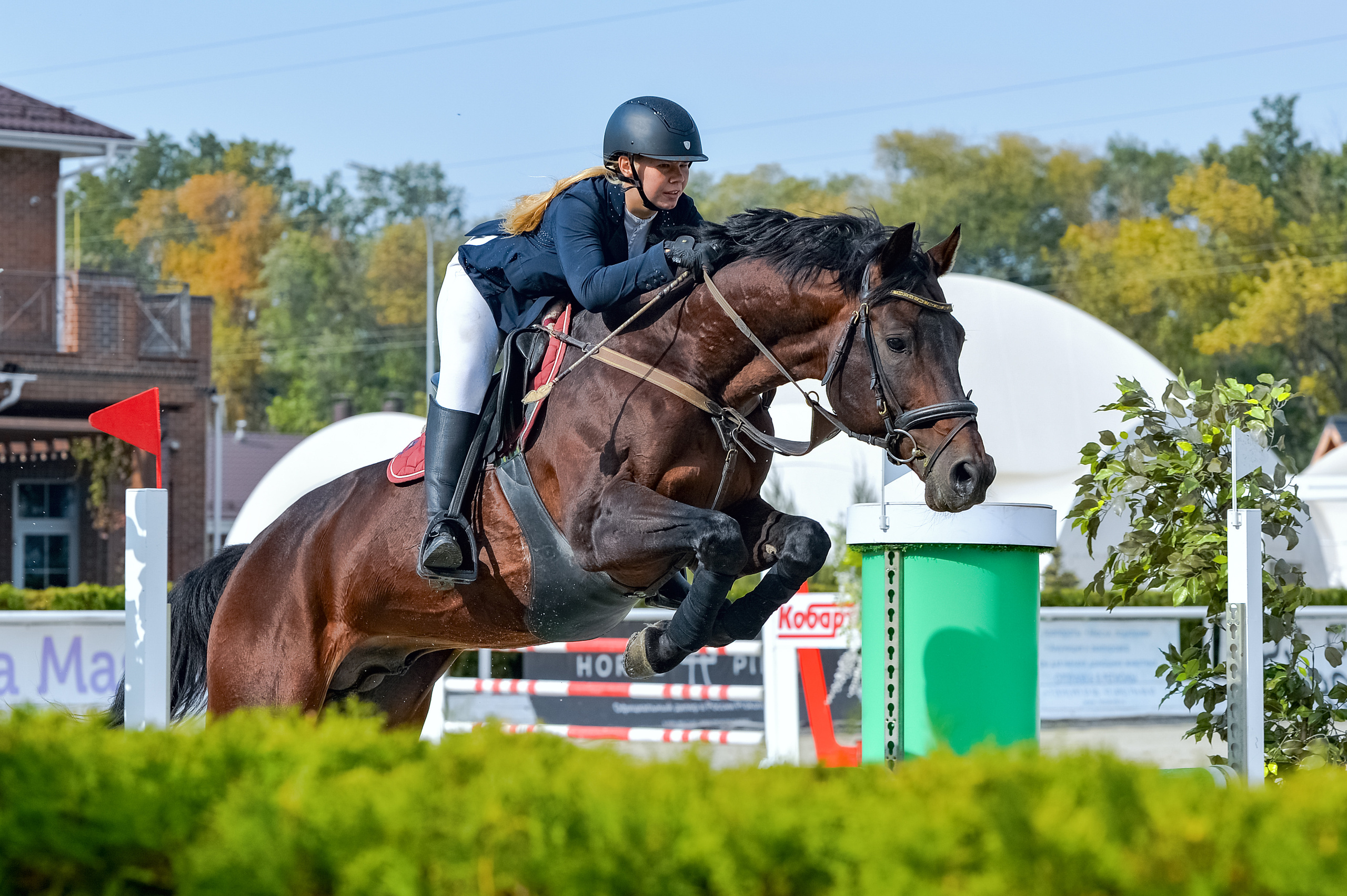 Конкур. Конный портретный фотограф Наталья Шелест