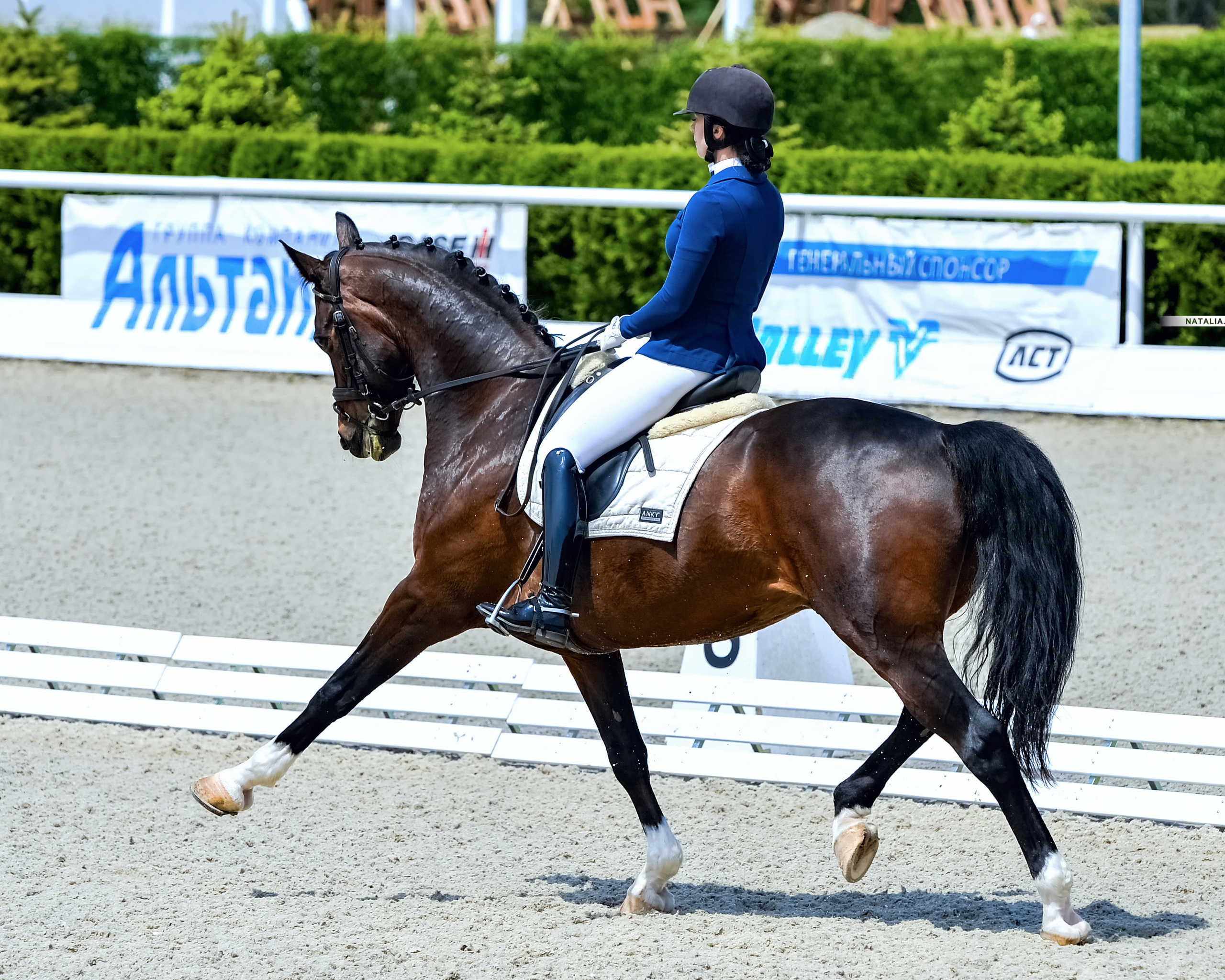 Выездка. Конный портретный фотограф Наталья Шелест