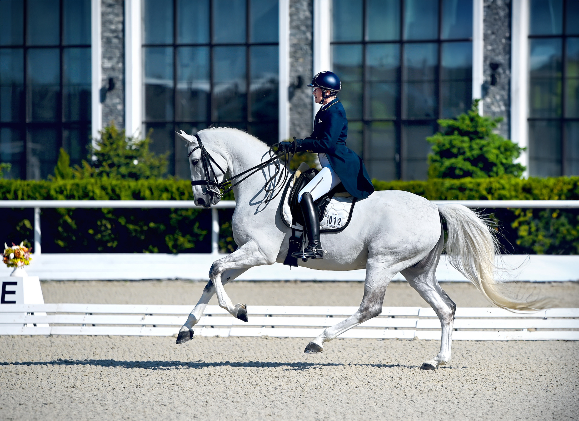 Конный портретный фотограф Наталья Шелест