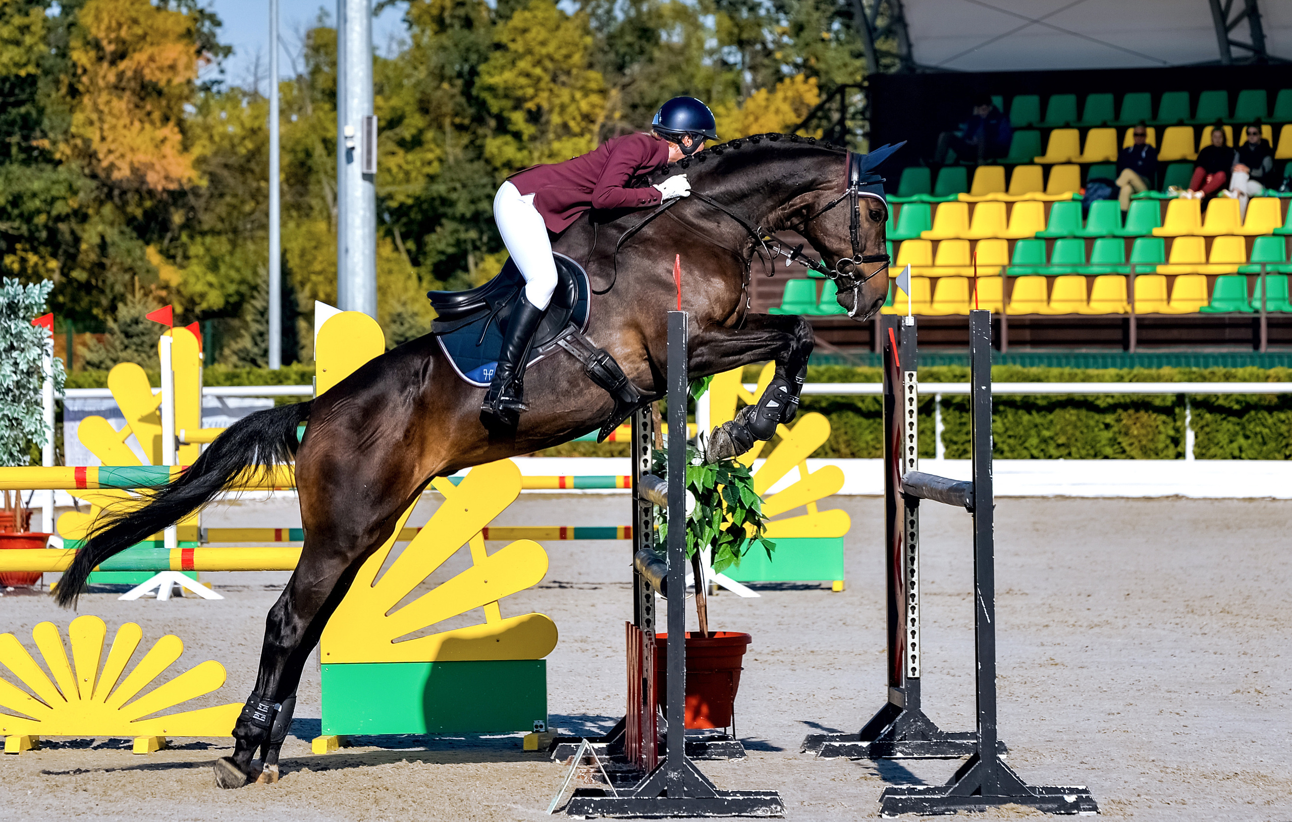 Конкур. Конный портретный фотограф Наталья Шелест