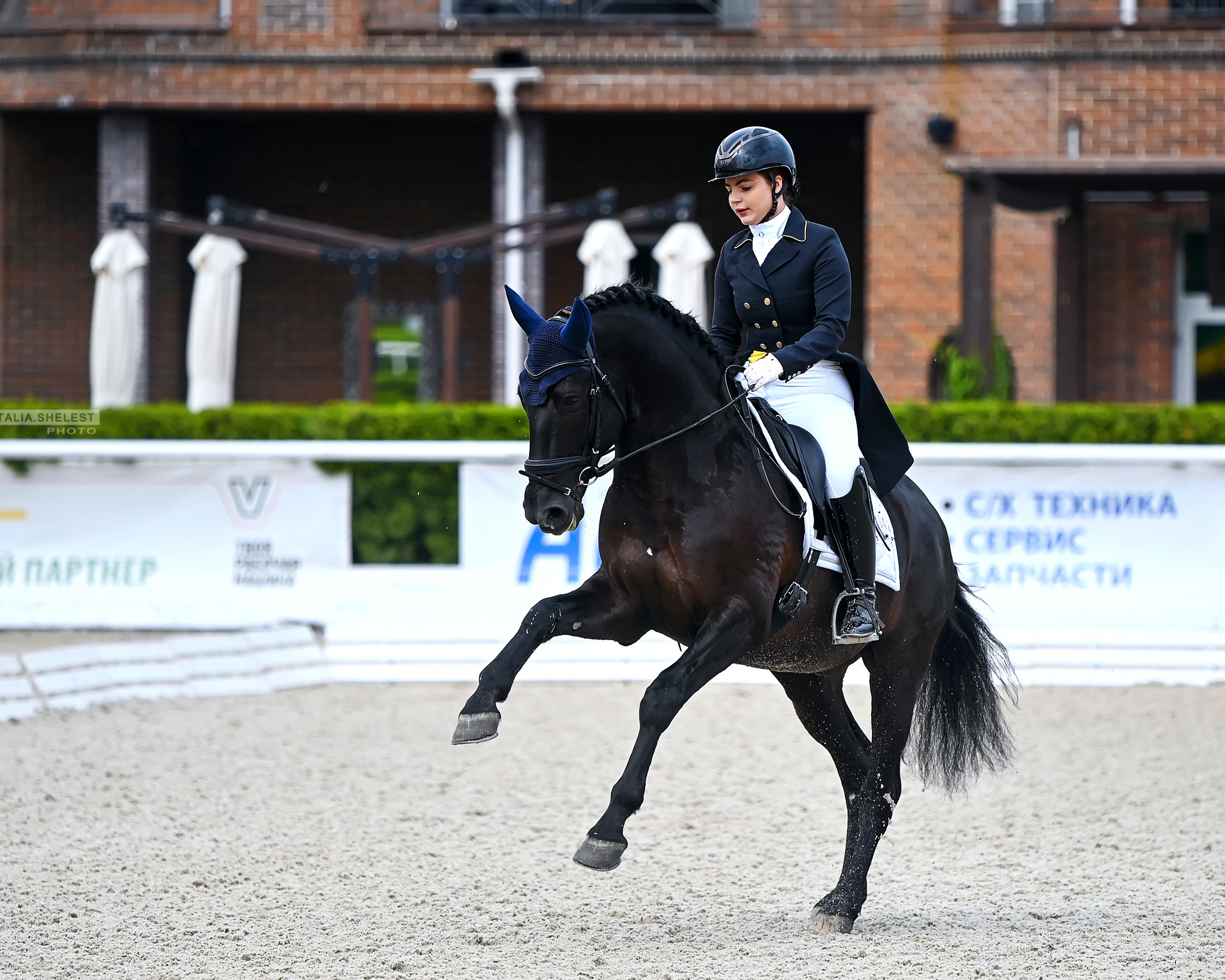 Выездка. Конный портретный фотограф Наталья Шелест