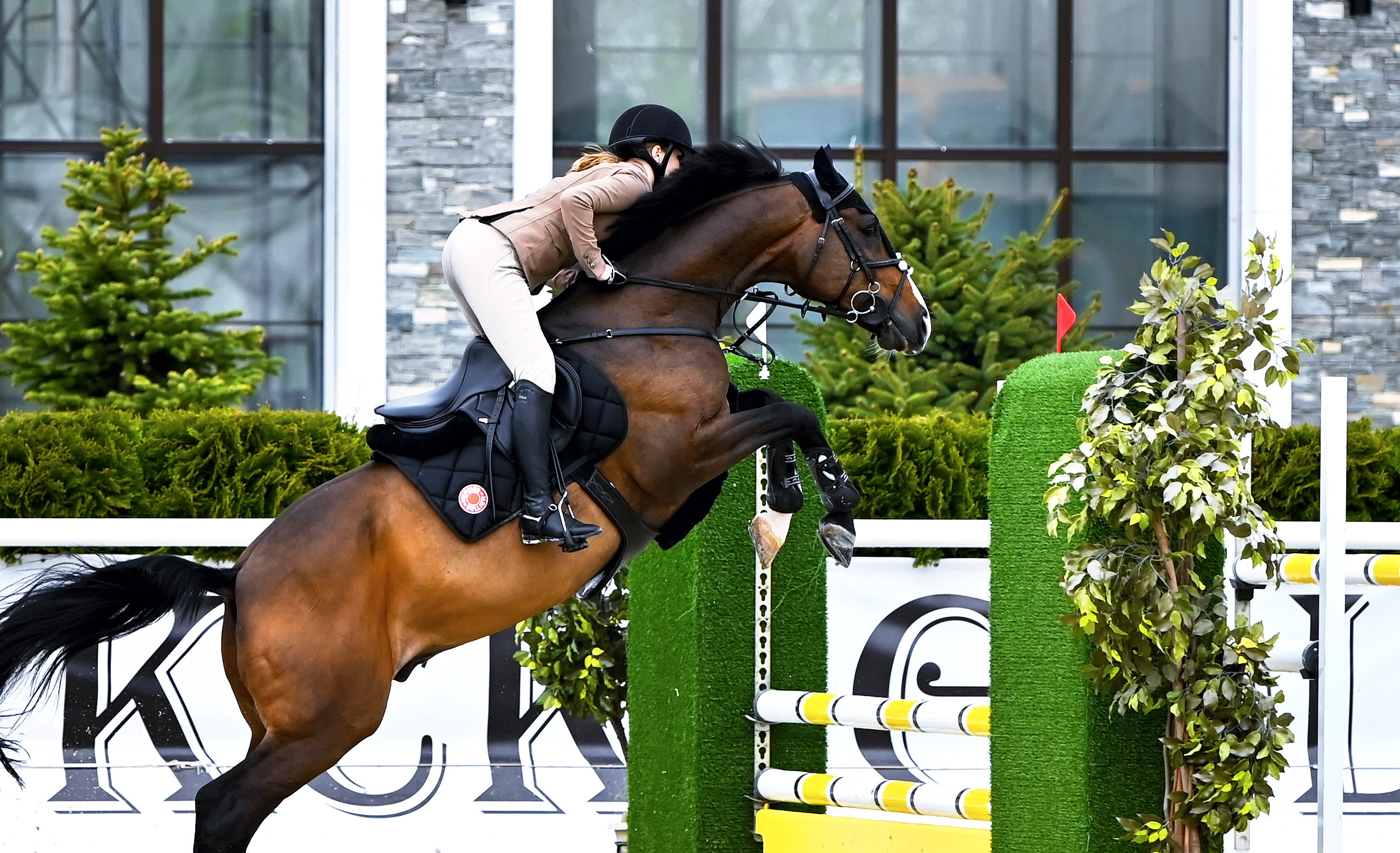 Конкур. Конный портретный фотограф Наталья Шелест