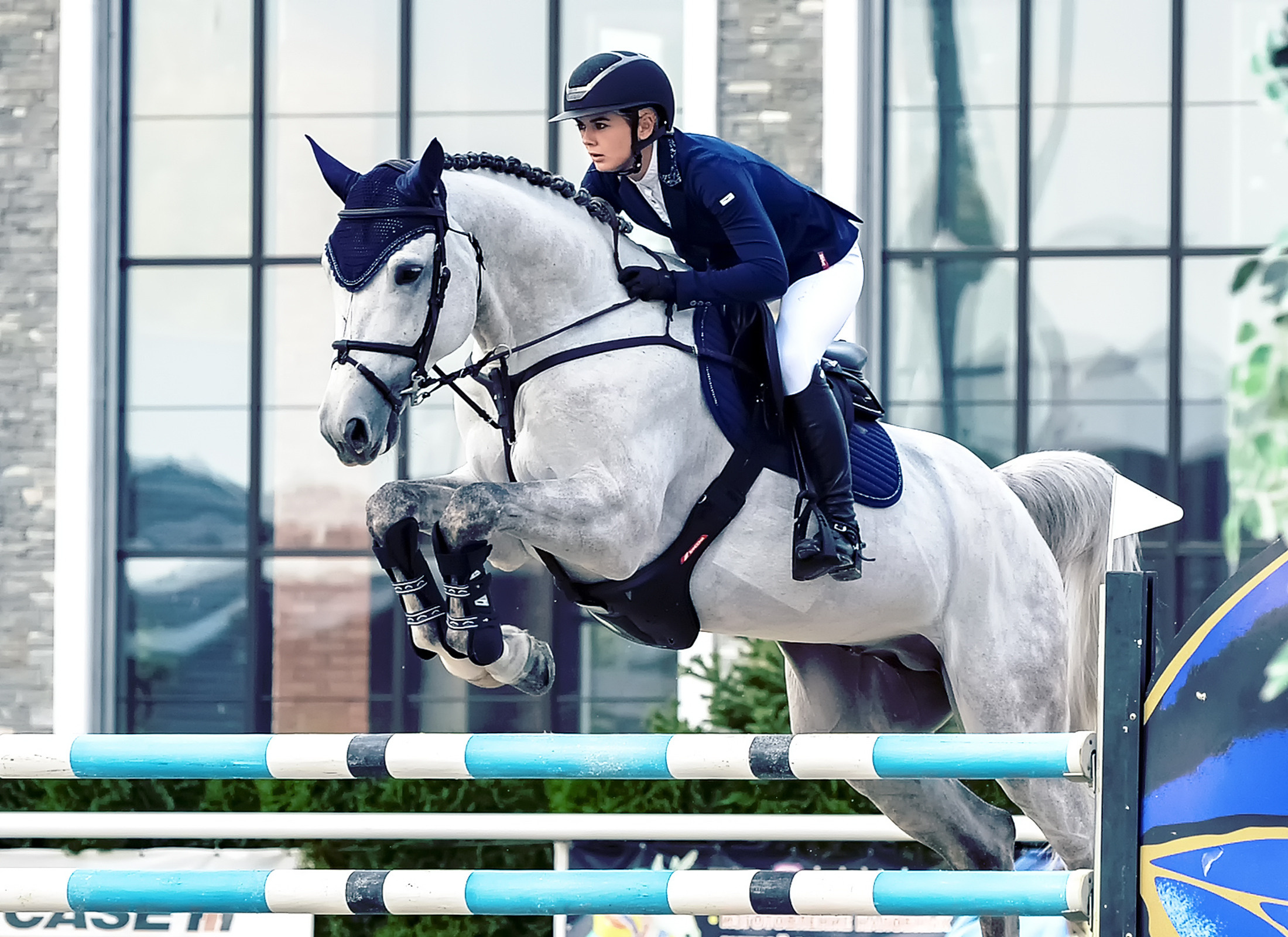 Конкур. Конный портретный фотограф Наталья Шелест