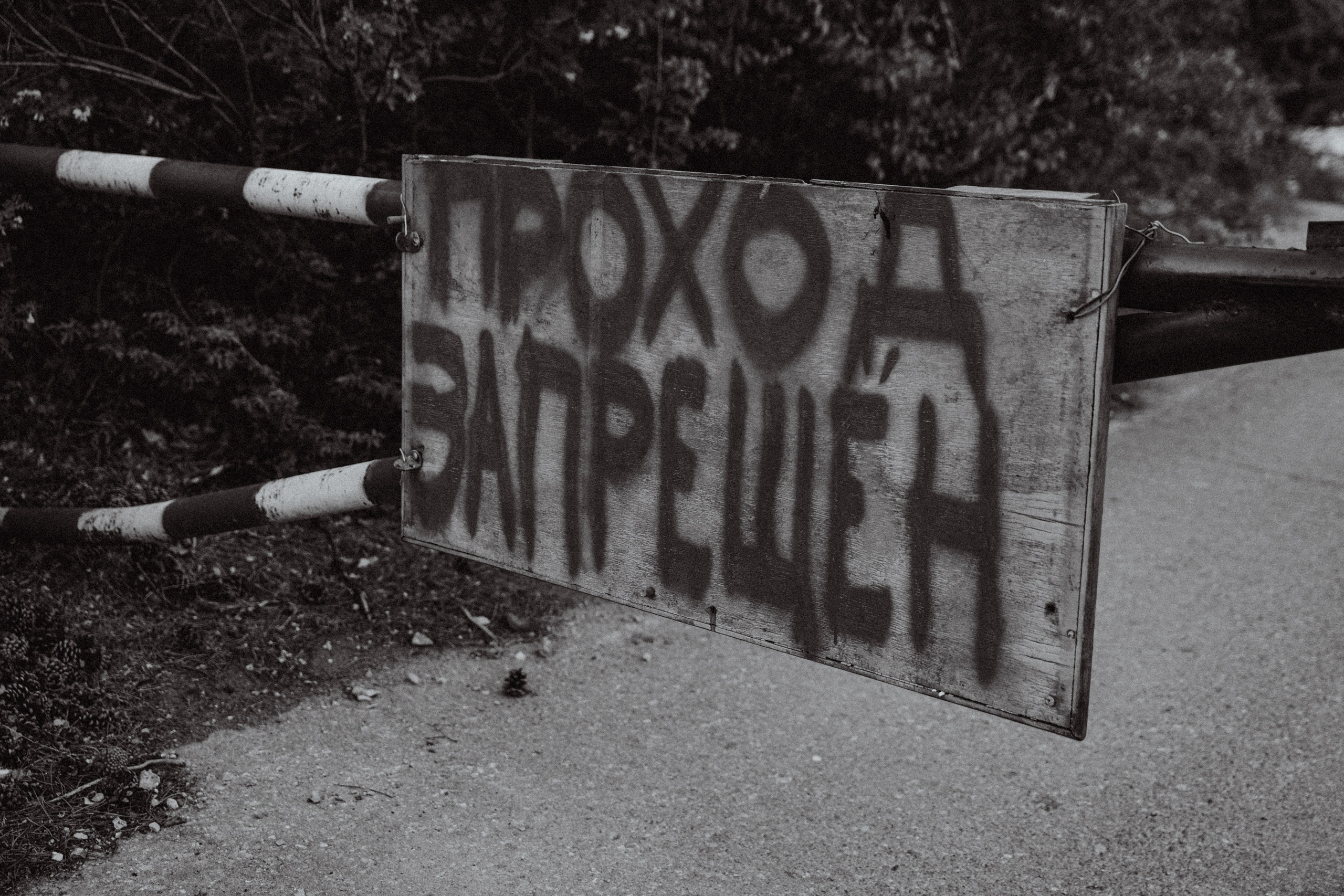 Евгений. Мария Кобзева, фотограф в Ялте, Крым