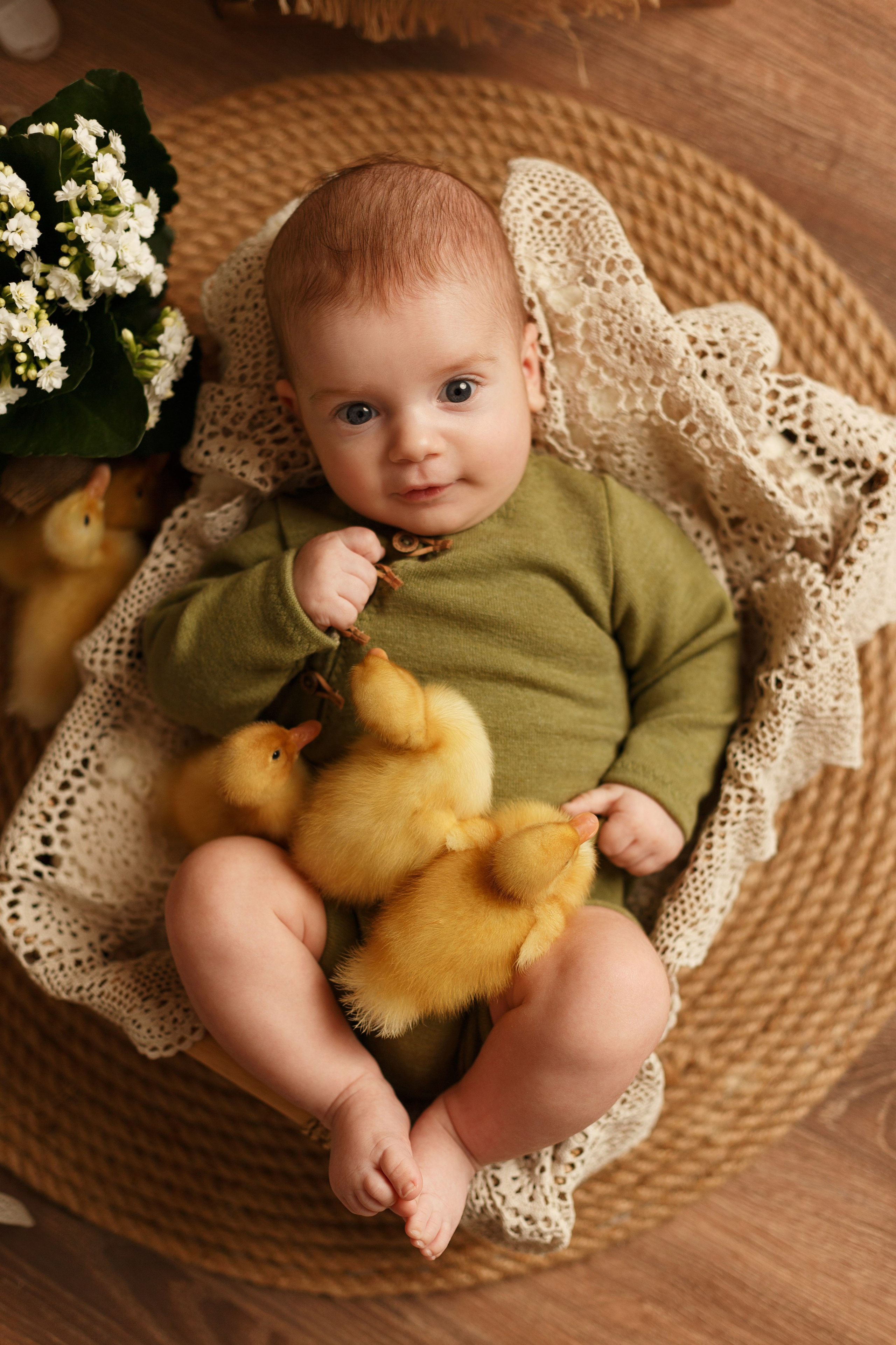 Фотопроекты. Фотограф новорождённых семейный фотограф Томск Елена Каплина