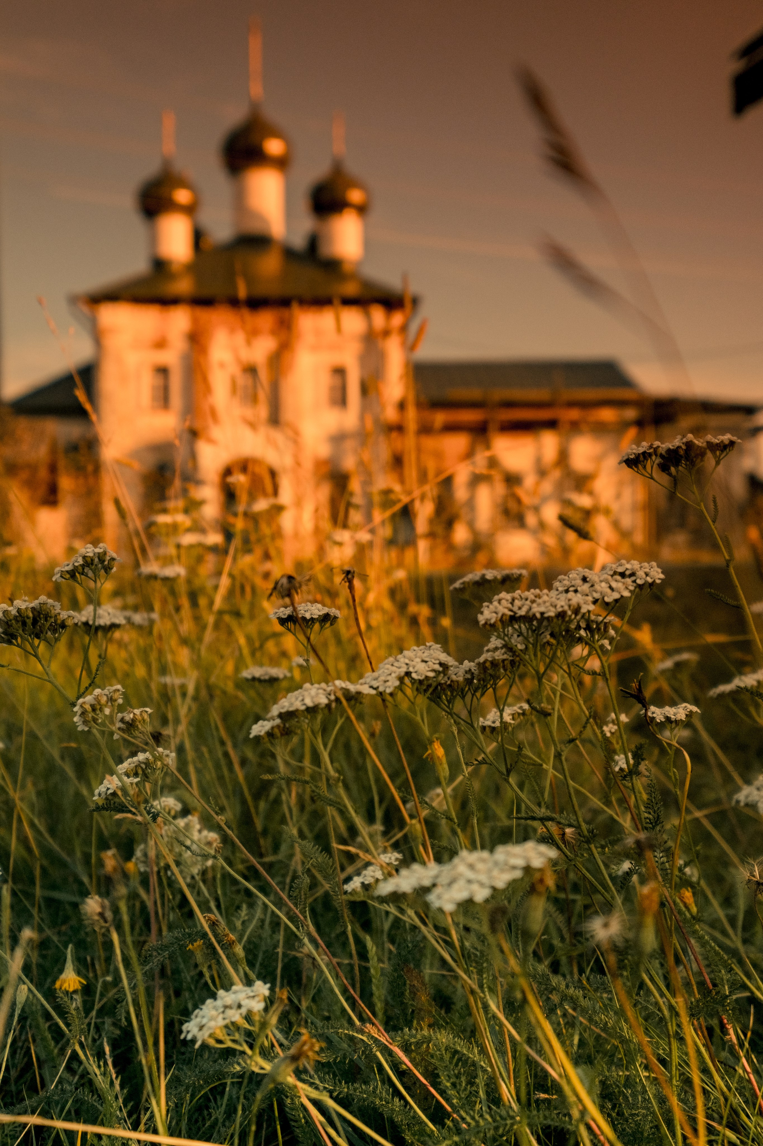 Фотографии Каргополя и красивые виды Русского Севера. Портретный, репортажный и пейзажный фотограф в Москве Сергей Арест