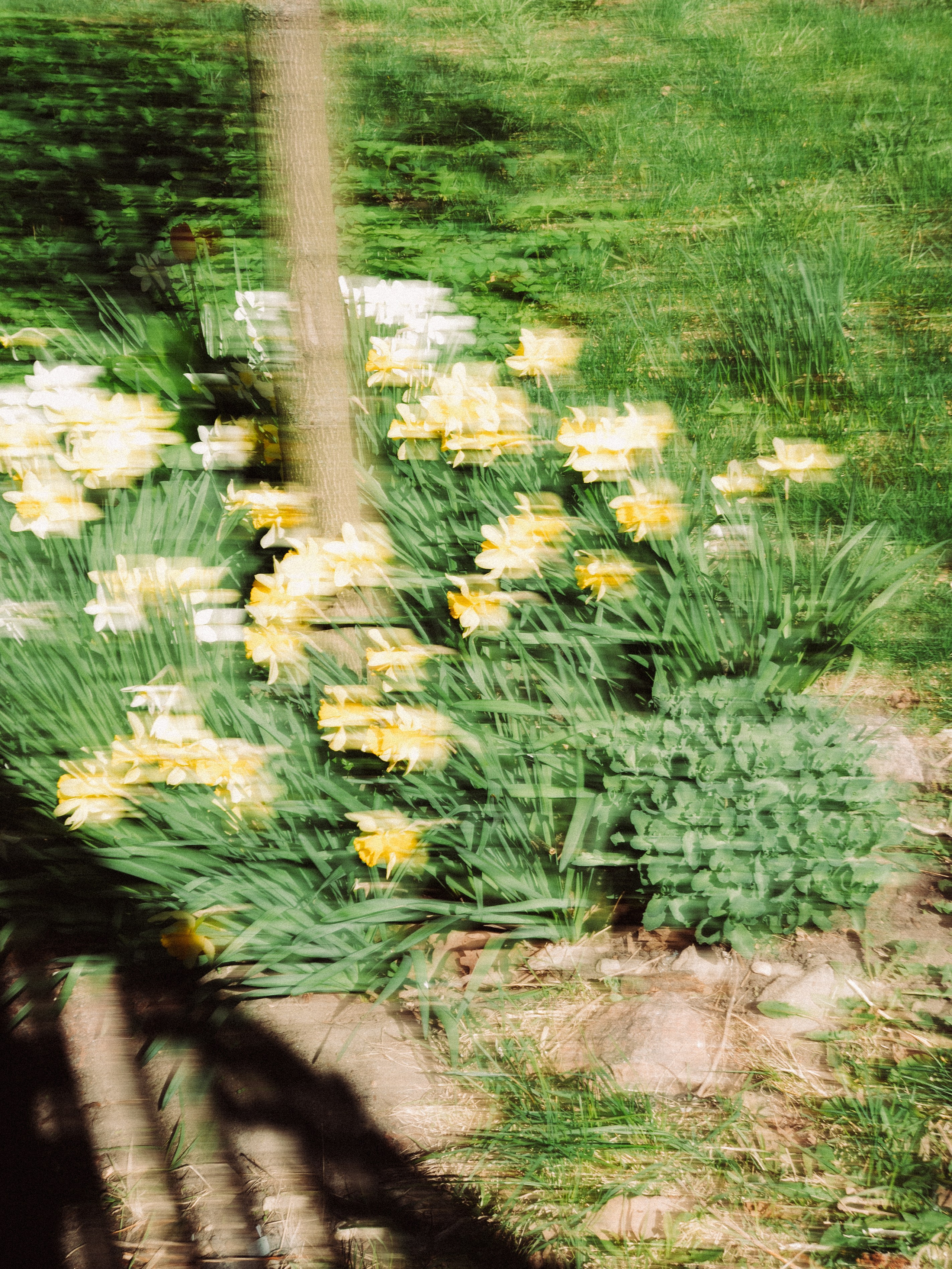I rinko kawauchi M/E. Михаил Долганов