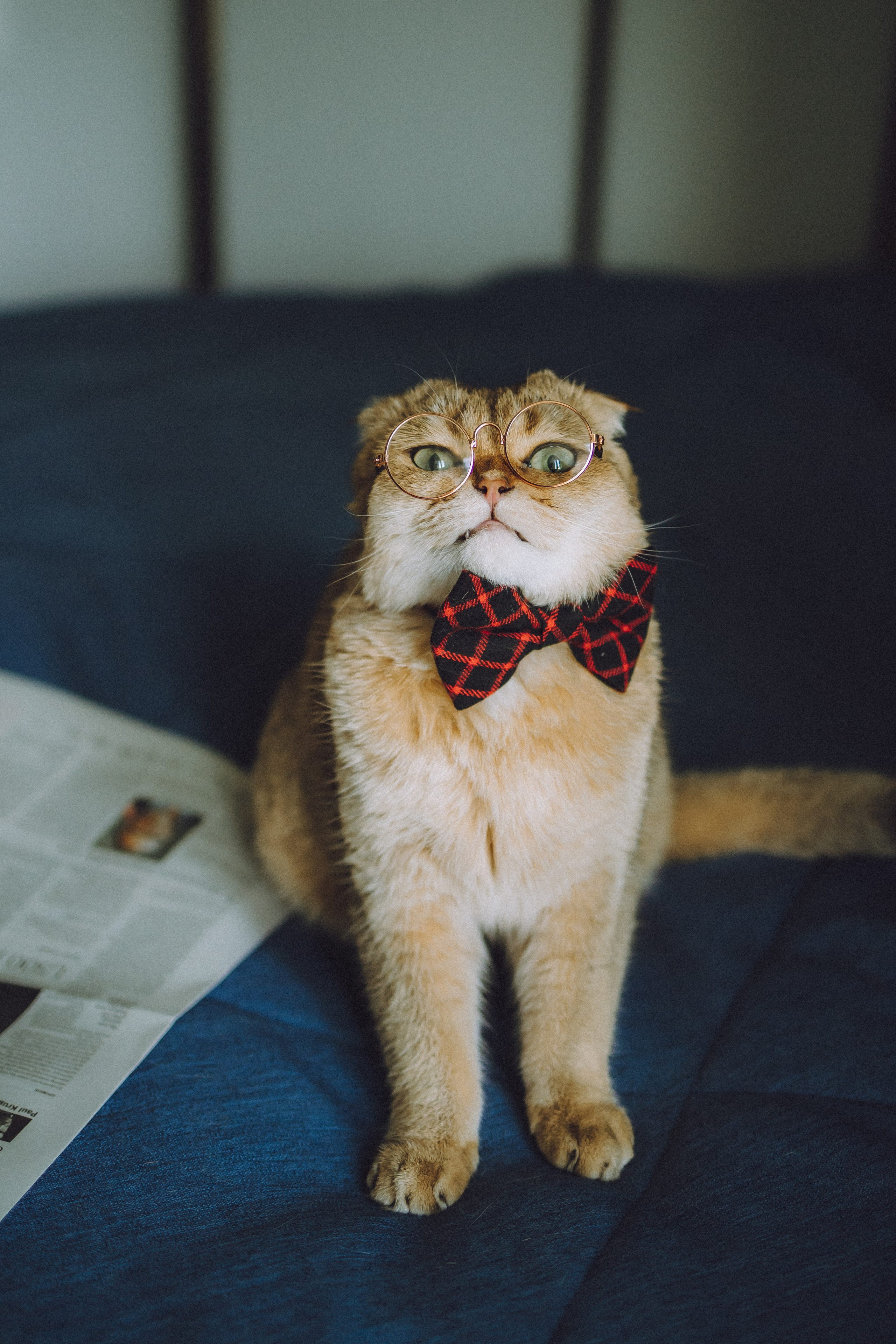 Генри и его семья