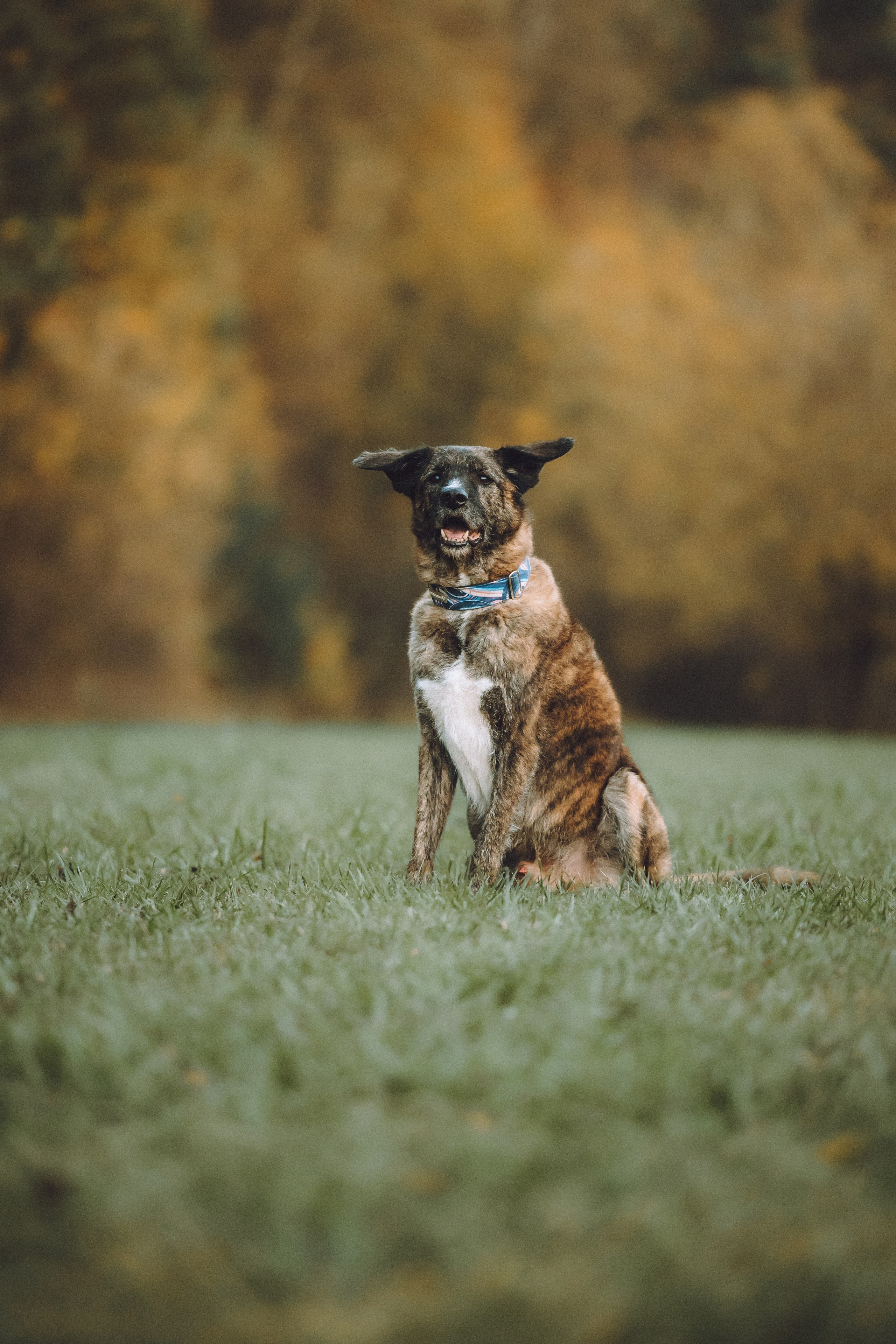 Рик, Джек и их семья