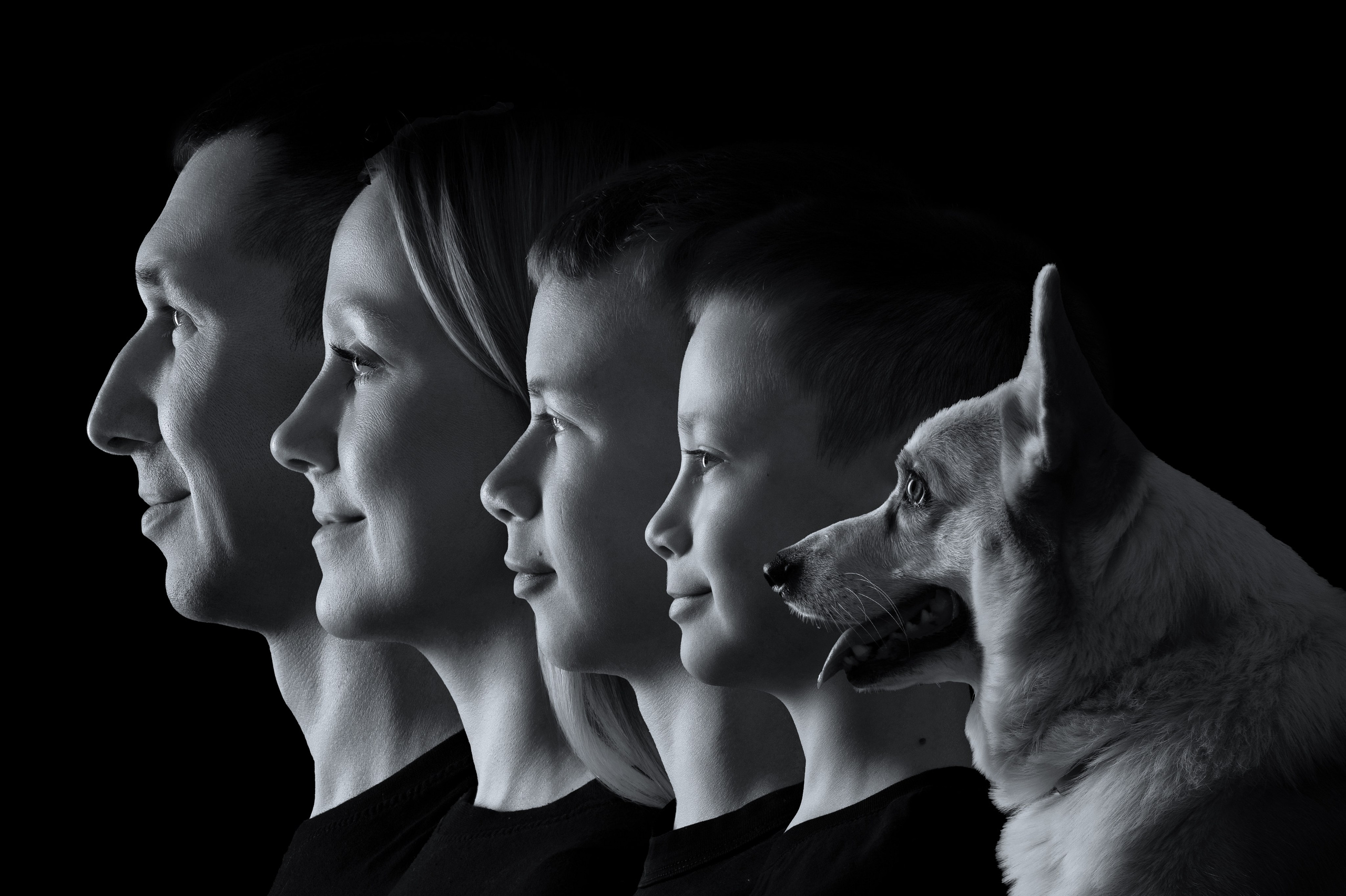 Проект НАСЛЕДИЕ. Фотограф беременности, фотограф новорожденных Анна Нельзина