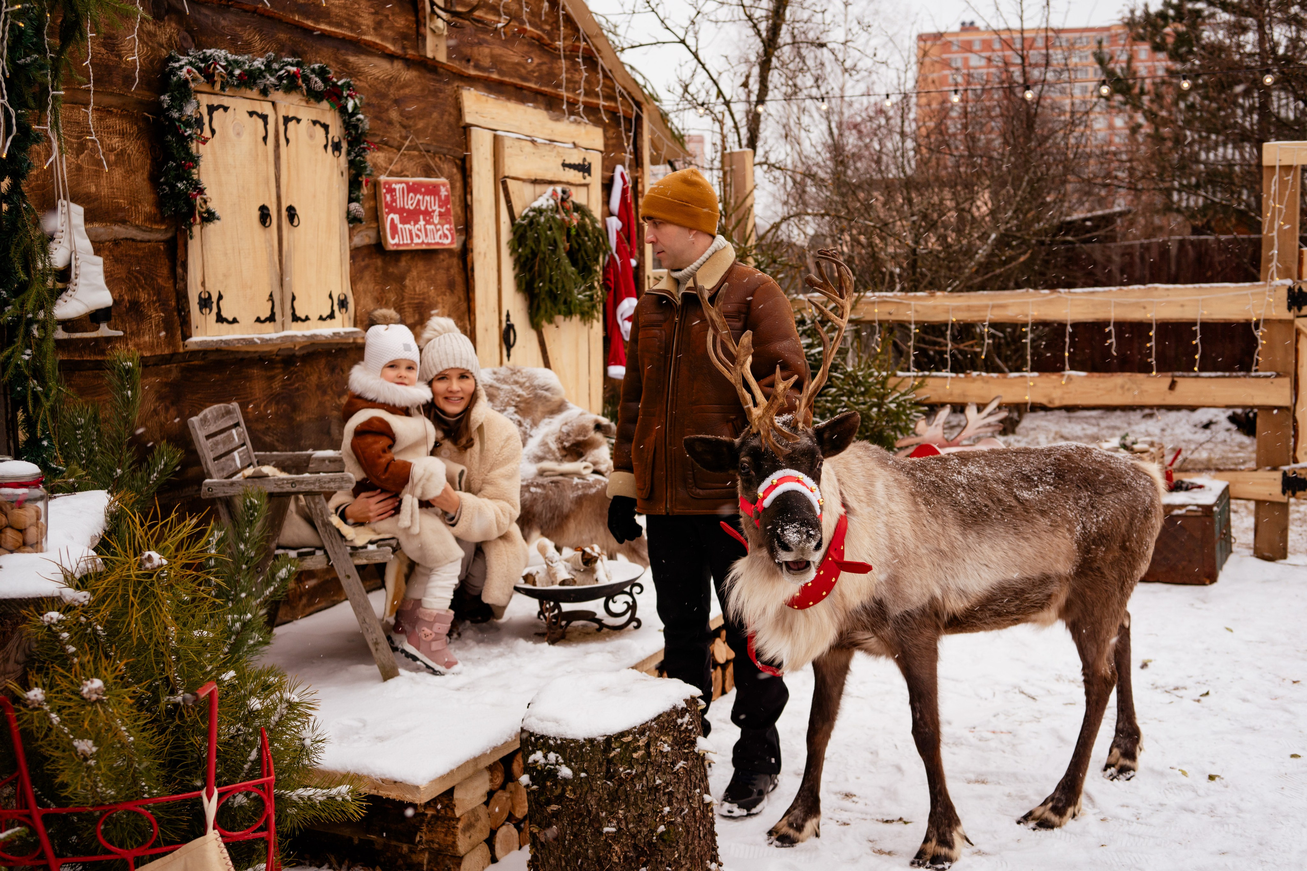 Фотодача «Калина» зима/новый год. Мои работы