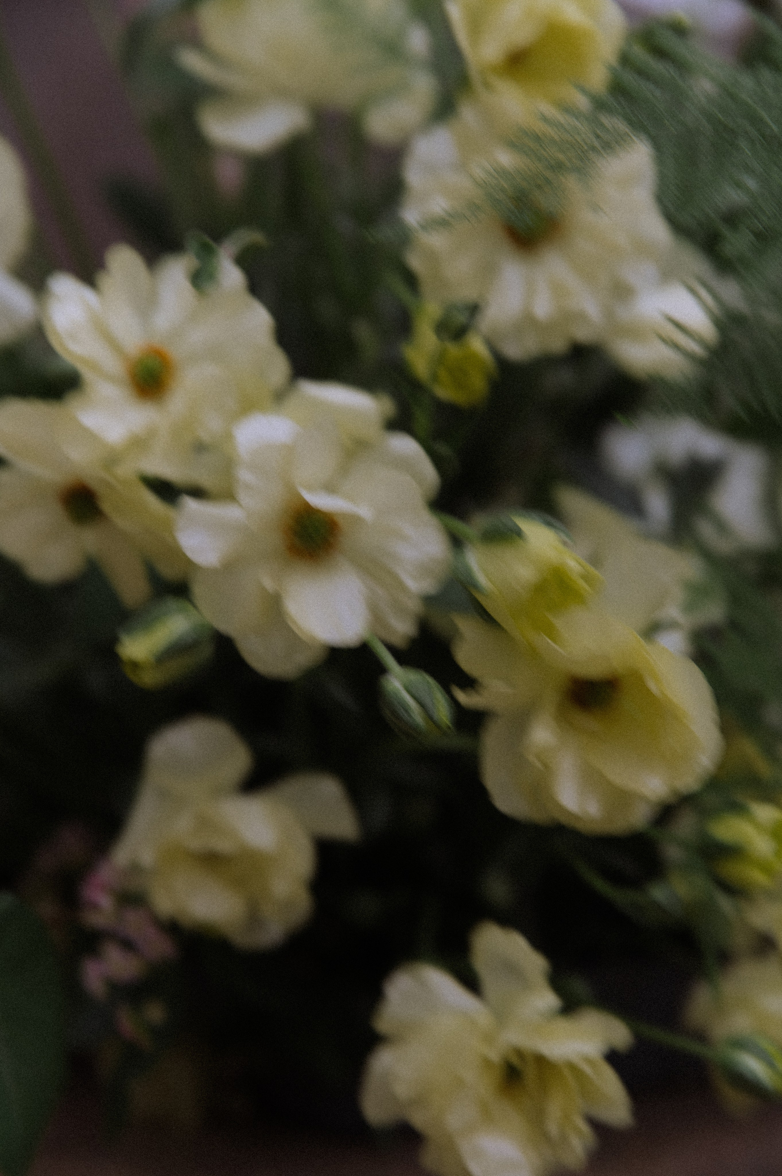 F&M. Свадебный и семейный фотограф в Ростове-на-Дону Ирина Цой