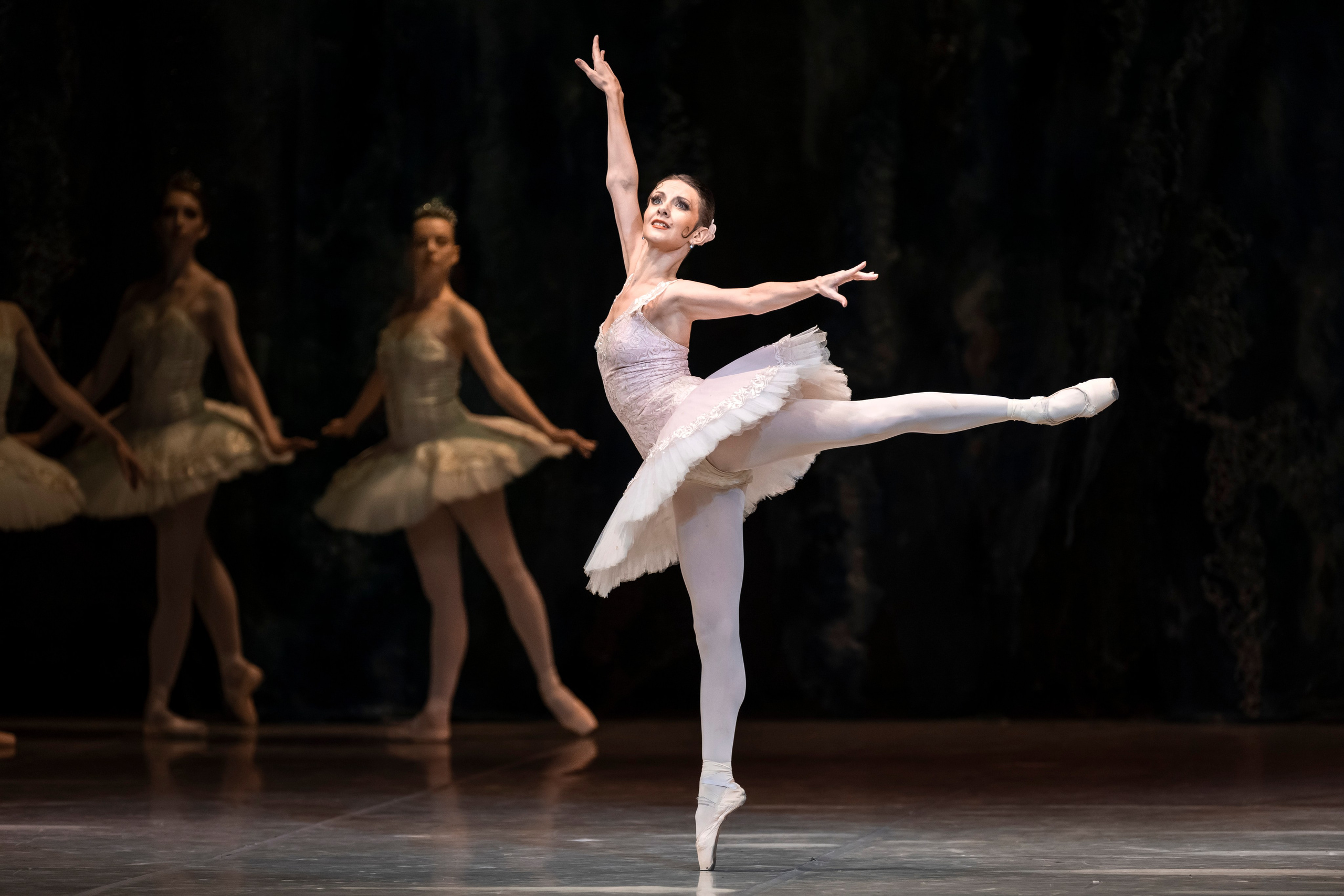 Дон Кихот. Балет Наталии Касаткиной и Владимира Василёва. Балетный фотограф Москва Майоров Николай