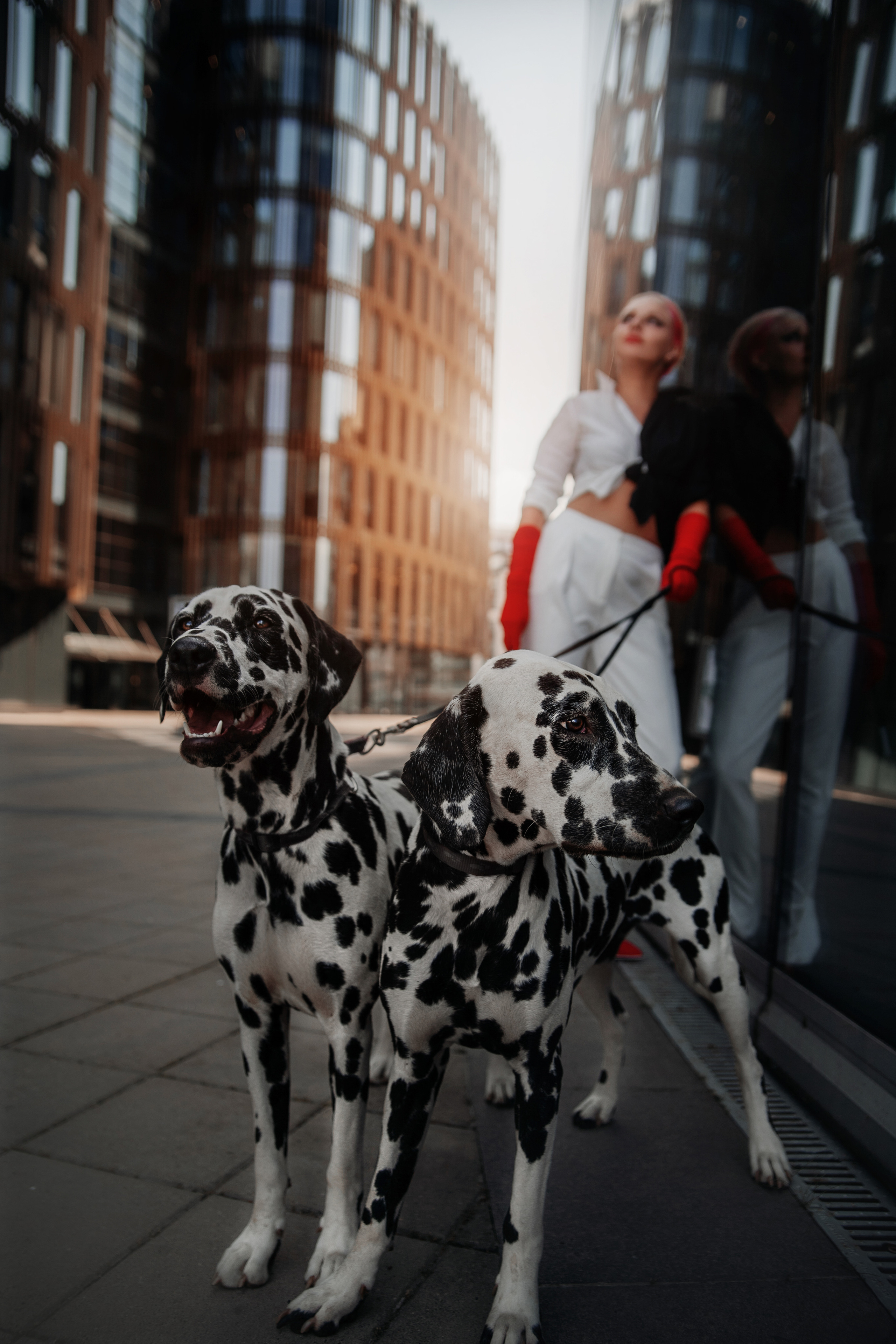 Образ современной Круэллы для Натальи. Фотограф в Санкт-Петербурге и Ленинградской области Катя Нугу