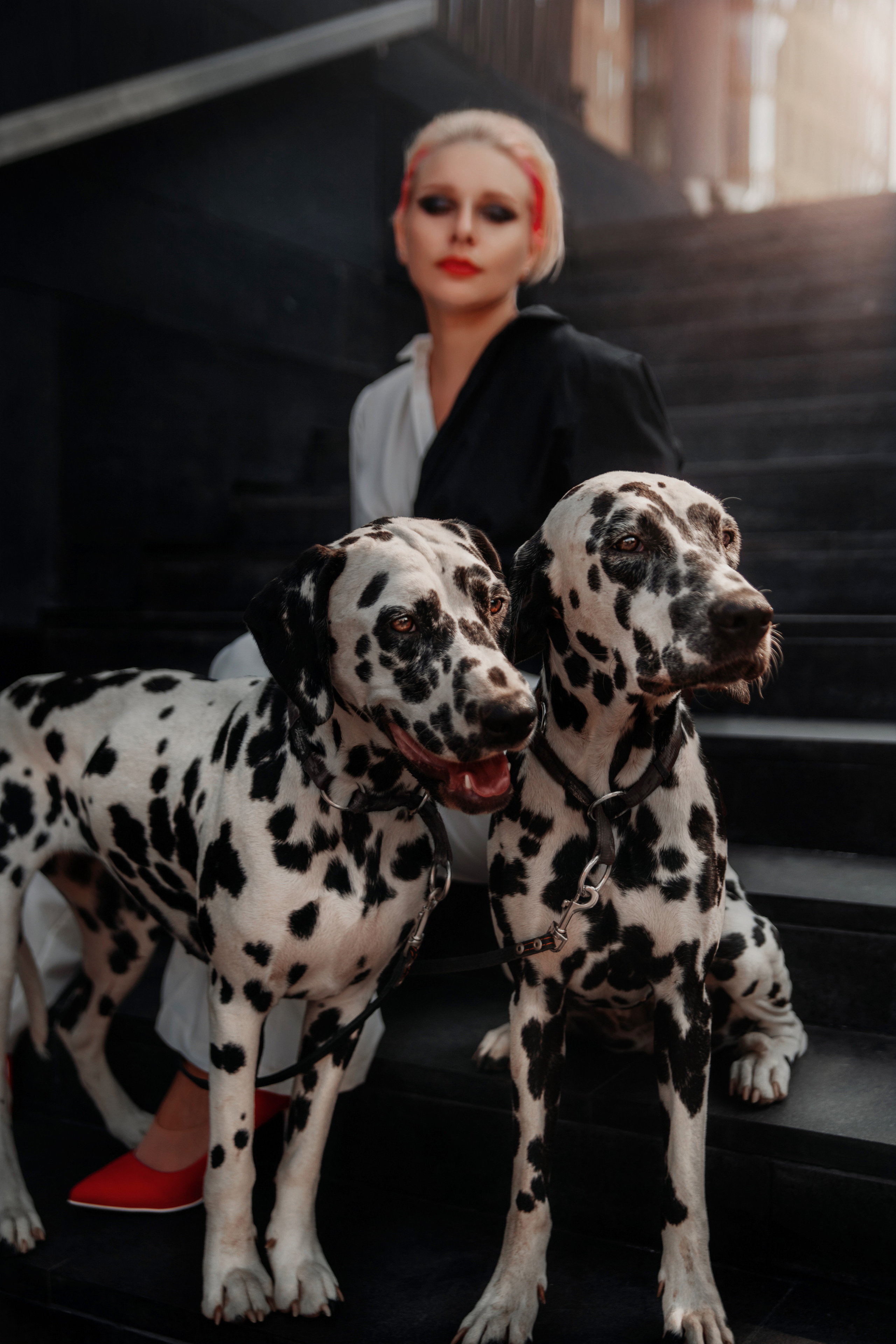 Образ современной Круэллы для Натальи. Фотограф в Санкт-Петербурге и Ленинградской области Катя Нугу