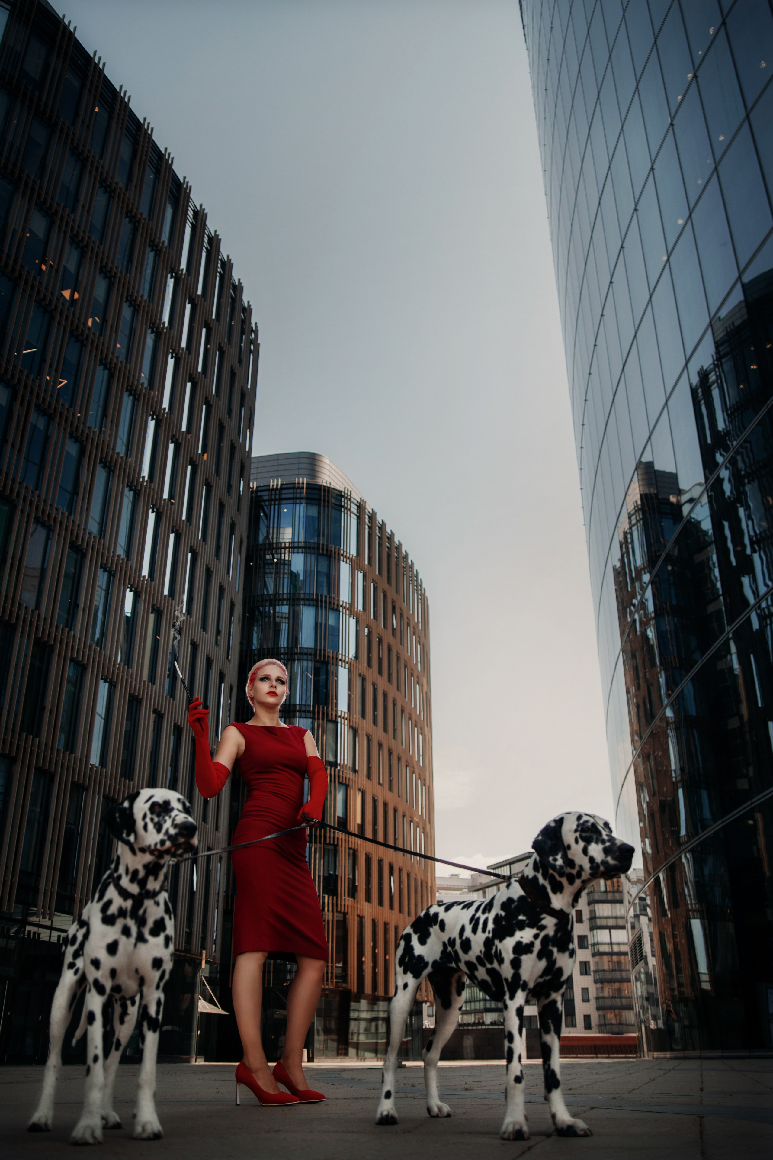 Образ современной Круэллы для Натальи. Фотограф в Санкт-Петербурге и Ленинградской области Катя Нугу