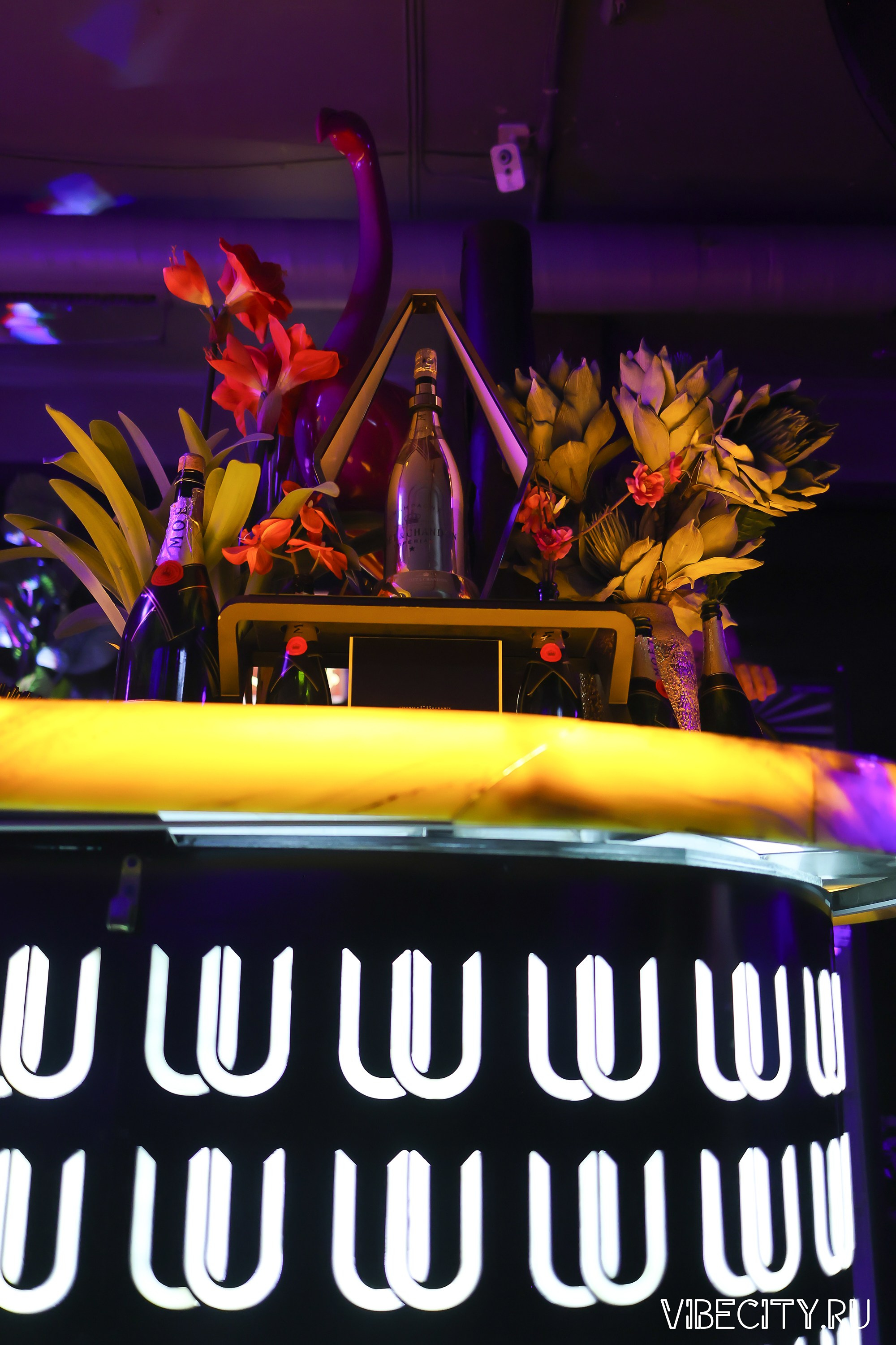 DOUBLE U. VIBECITY.RU Вайб Сити Ру Фоторепортажи Фотоотчеты Калининград