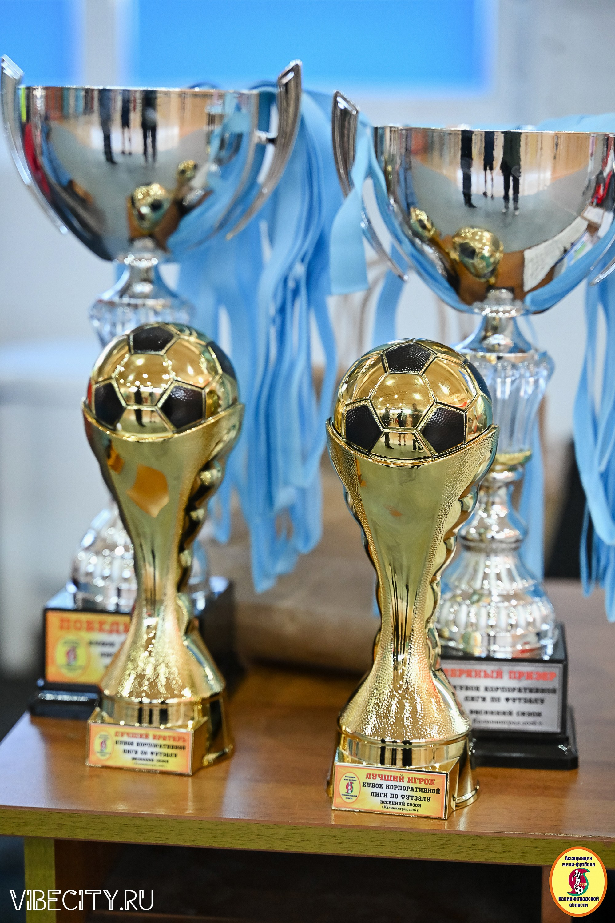 МФЛ СанТермо. VIBECITY.RU Вайб Сити Ру Фоторепортажи Фотоотчеты Калининград