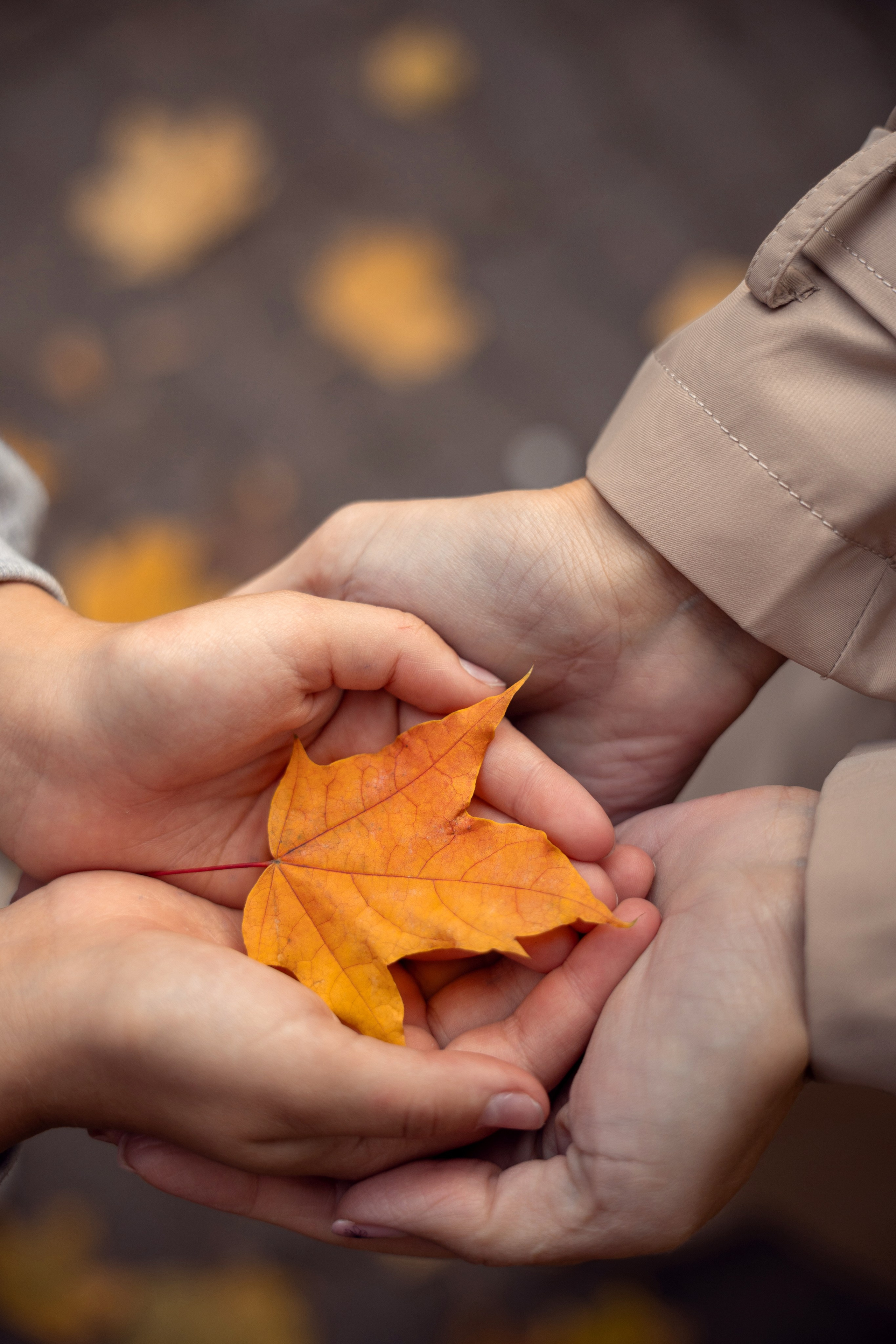 Семья (парки, улица). Семейный фотограф Ульяна Вдовкина г. Екатеринбург