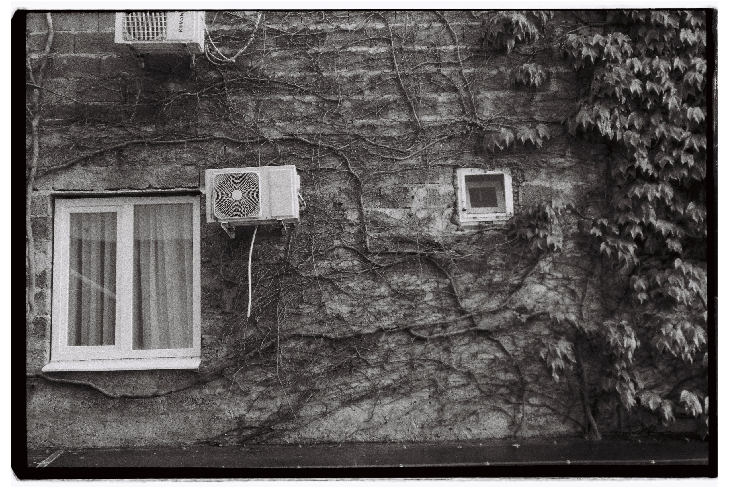 Пленочная фотография. ТАТИ | Татьяна Тихонова | фотограф | Тольятти Самара