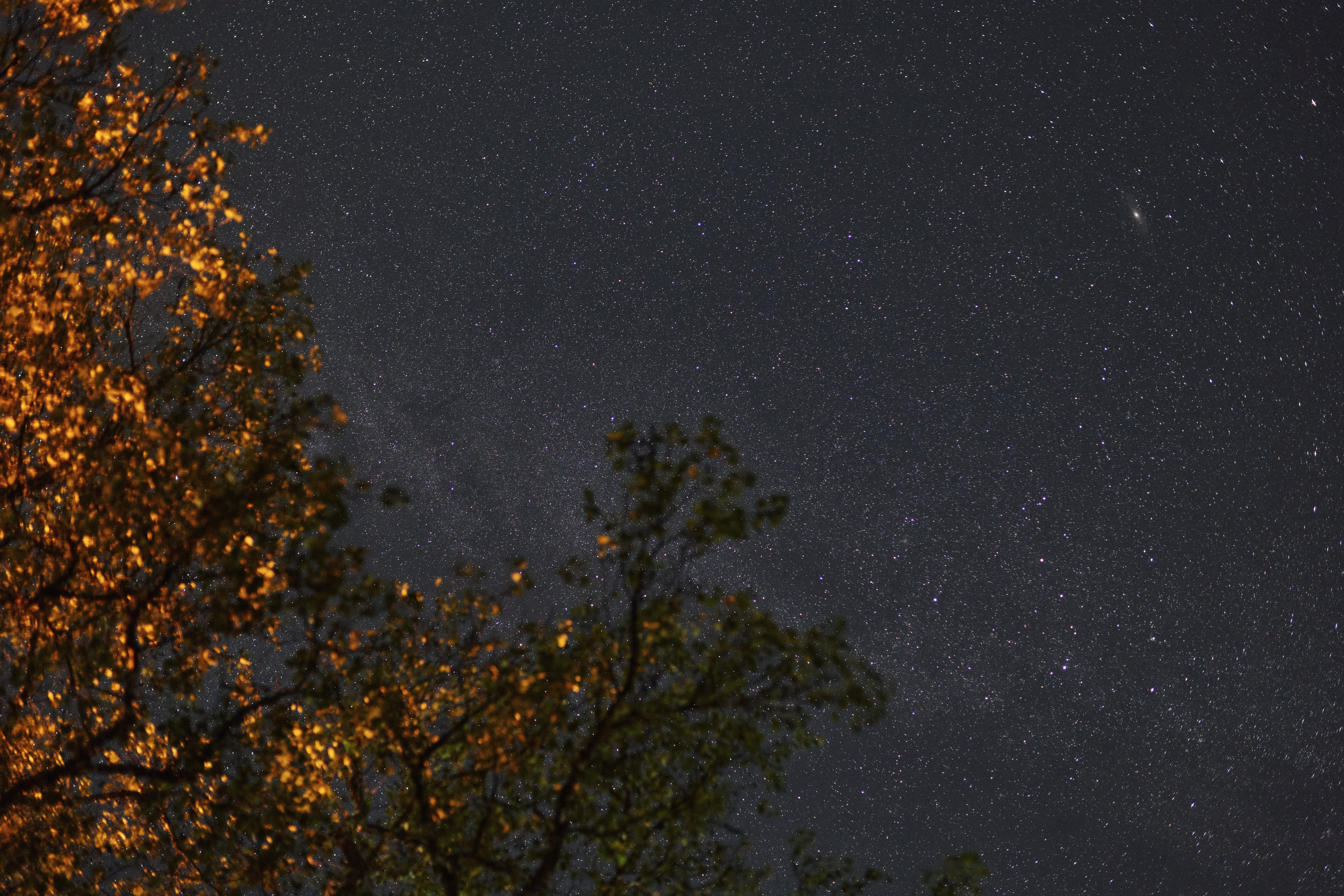 Осеннее звёздное небо в Приморском крае, 2025 год