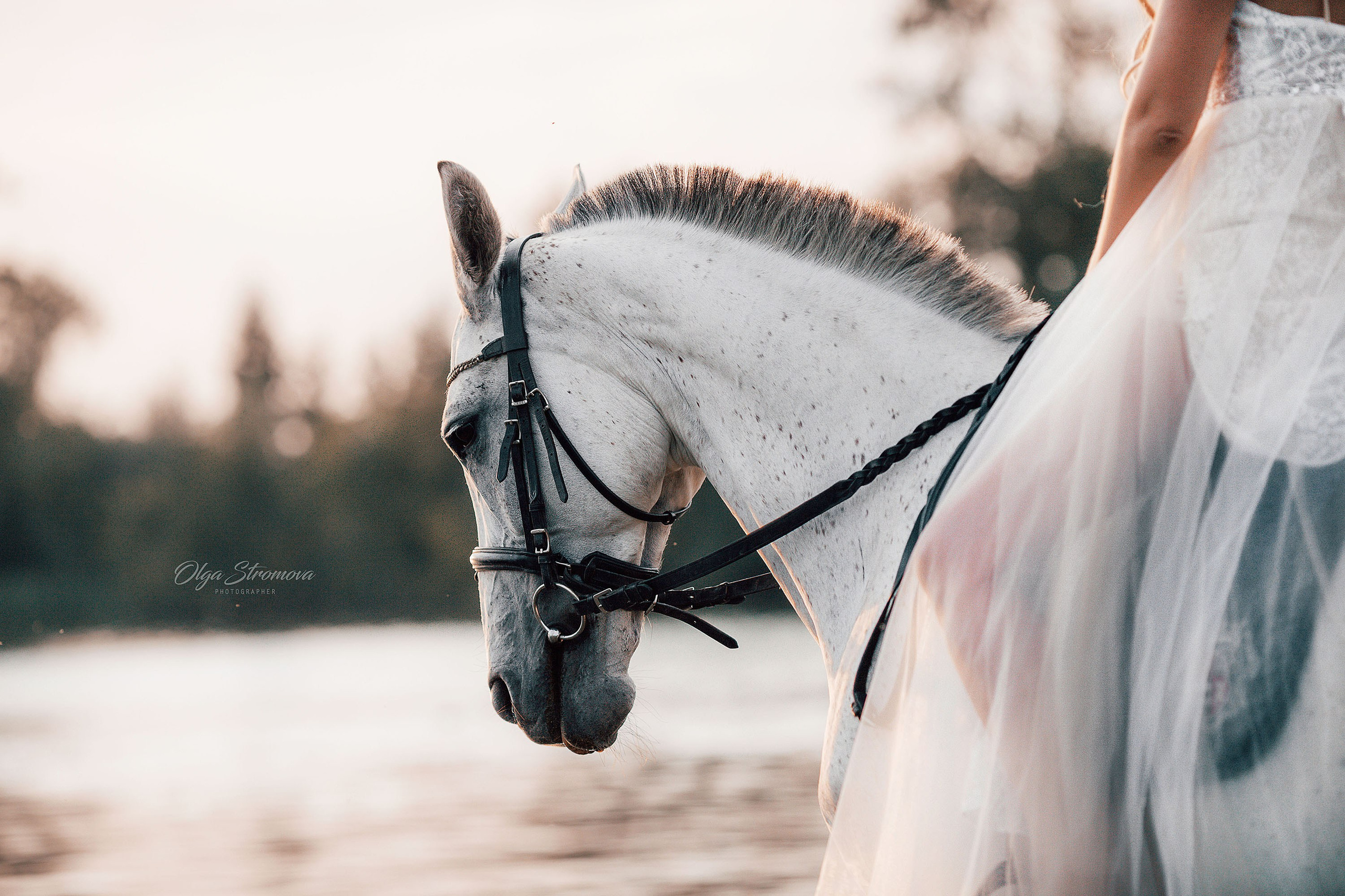 Портретная съемка с лошадью. Конный фотограф в Челябинске Стромова Ольга