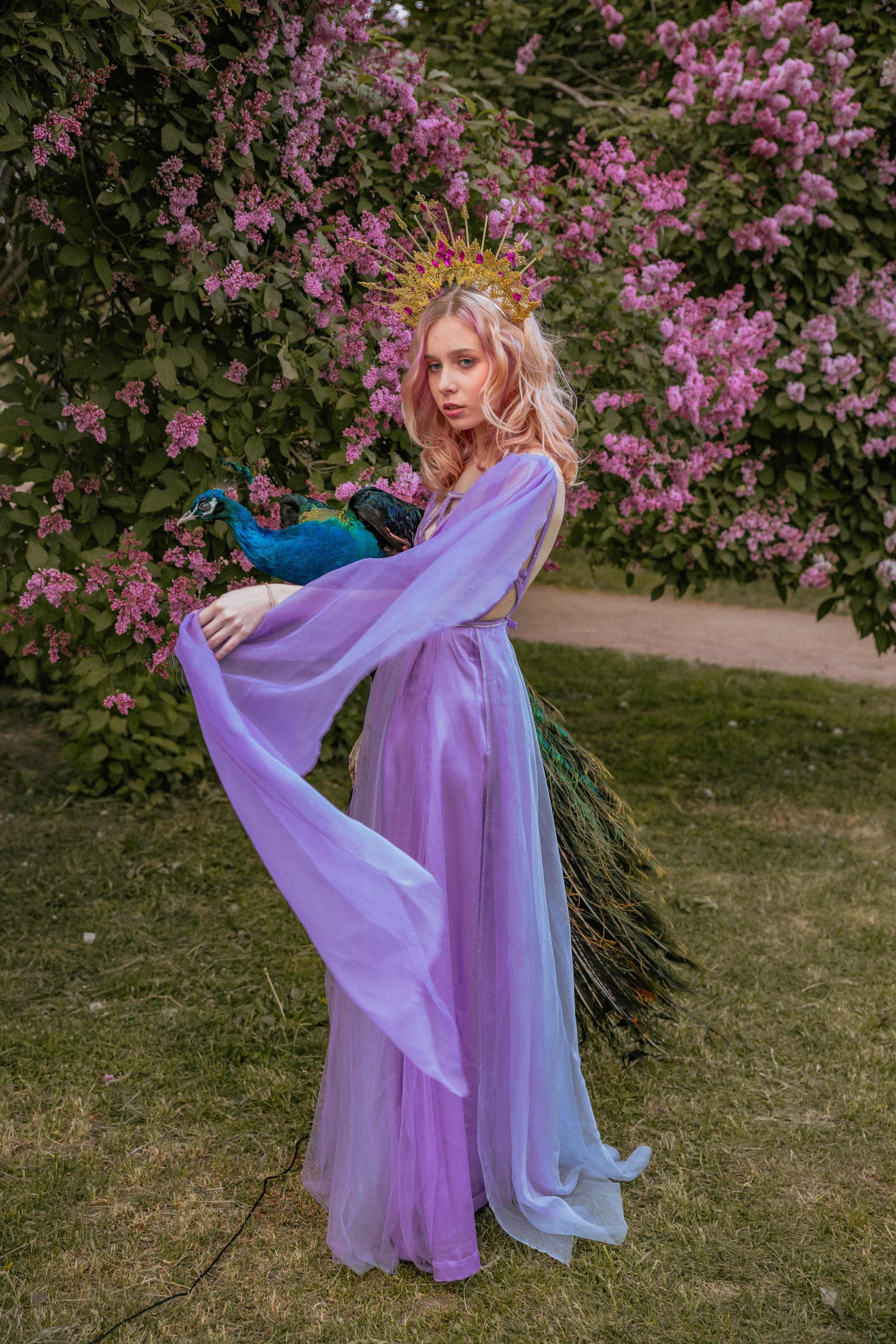 Павлин. Elena Sova — семейный и женский фотограф в Санкт-Петербурге