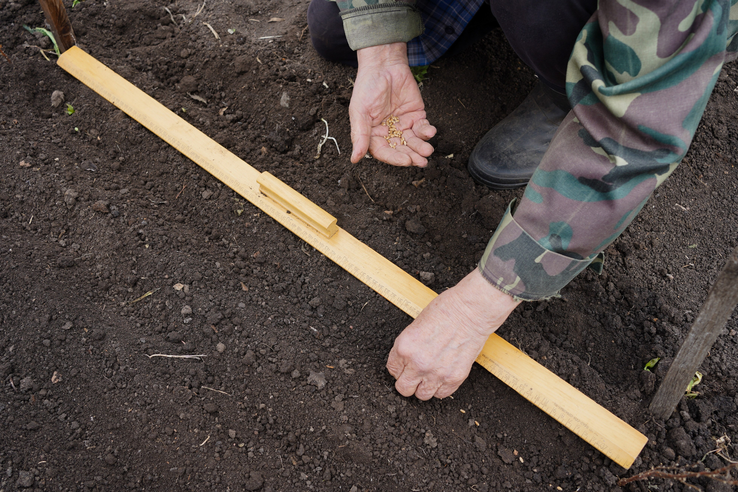 1 квадратный метр земли. Margarita Khatmullina