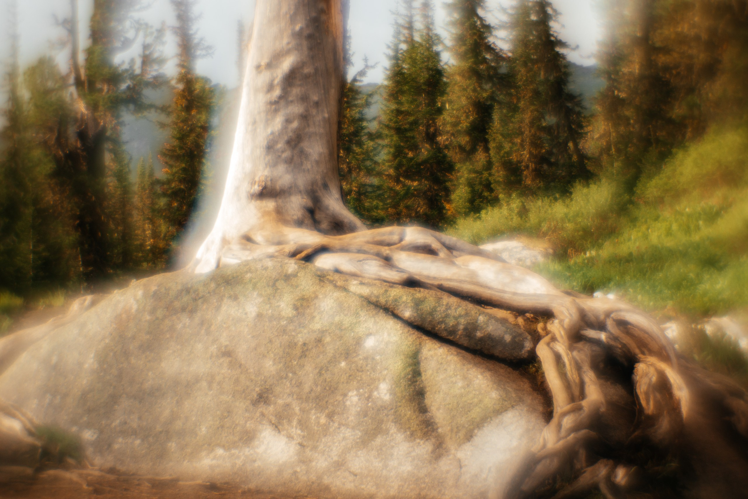 Ловец снов. Фотограф в Красноярске Оксана Корчагина