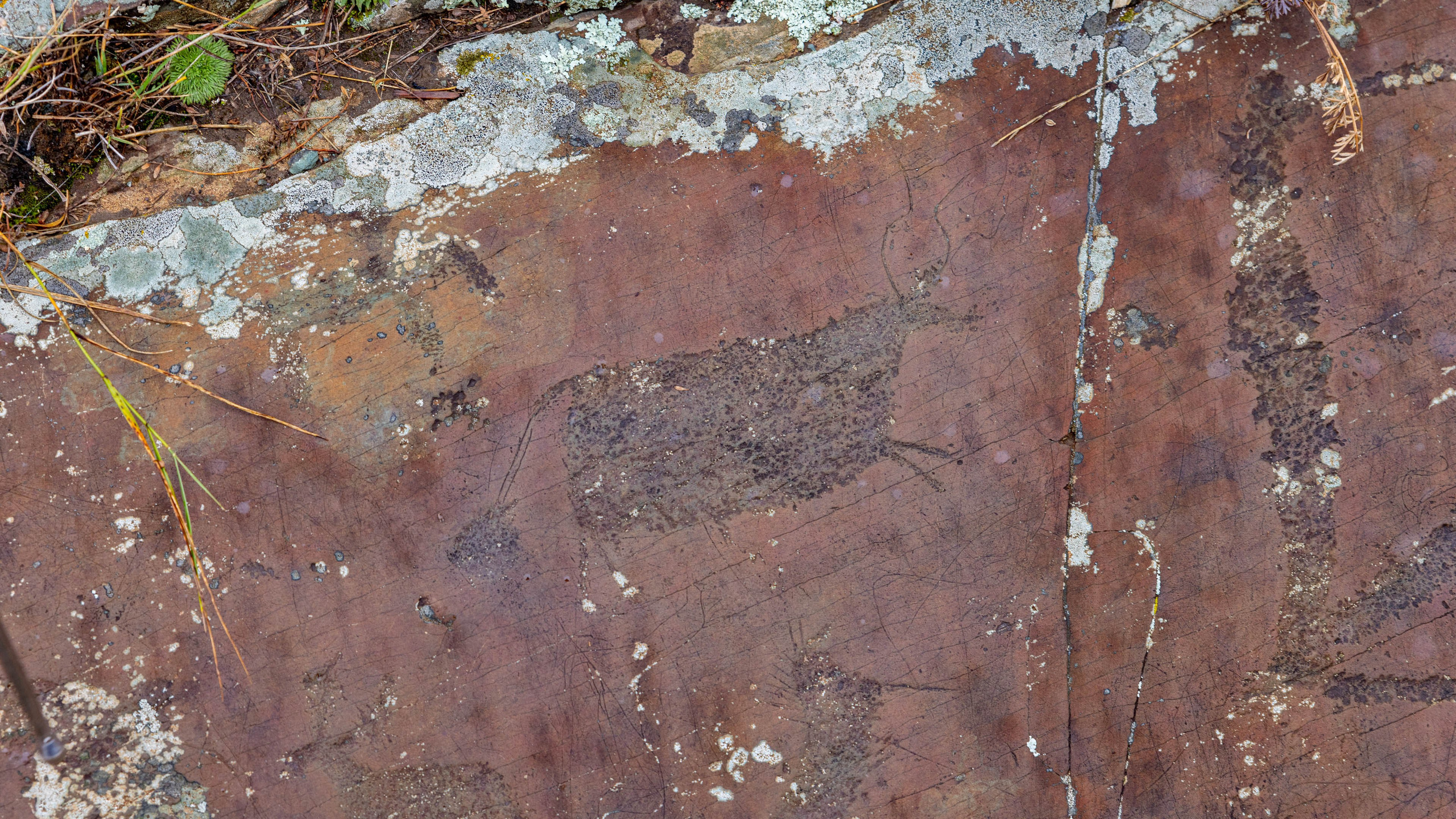 2025 09 Алтай. Чуйский тракт. Фотографии