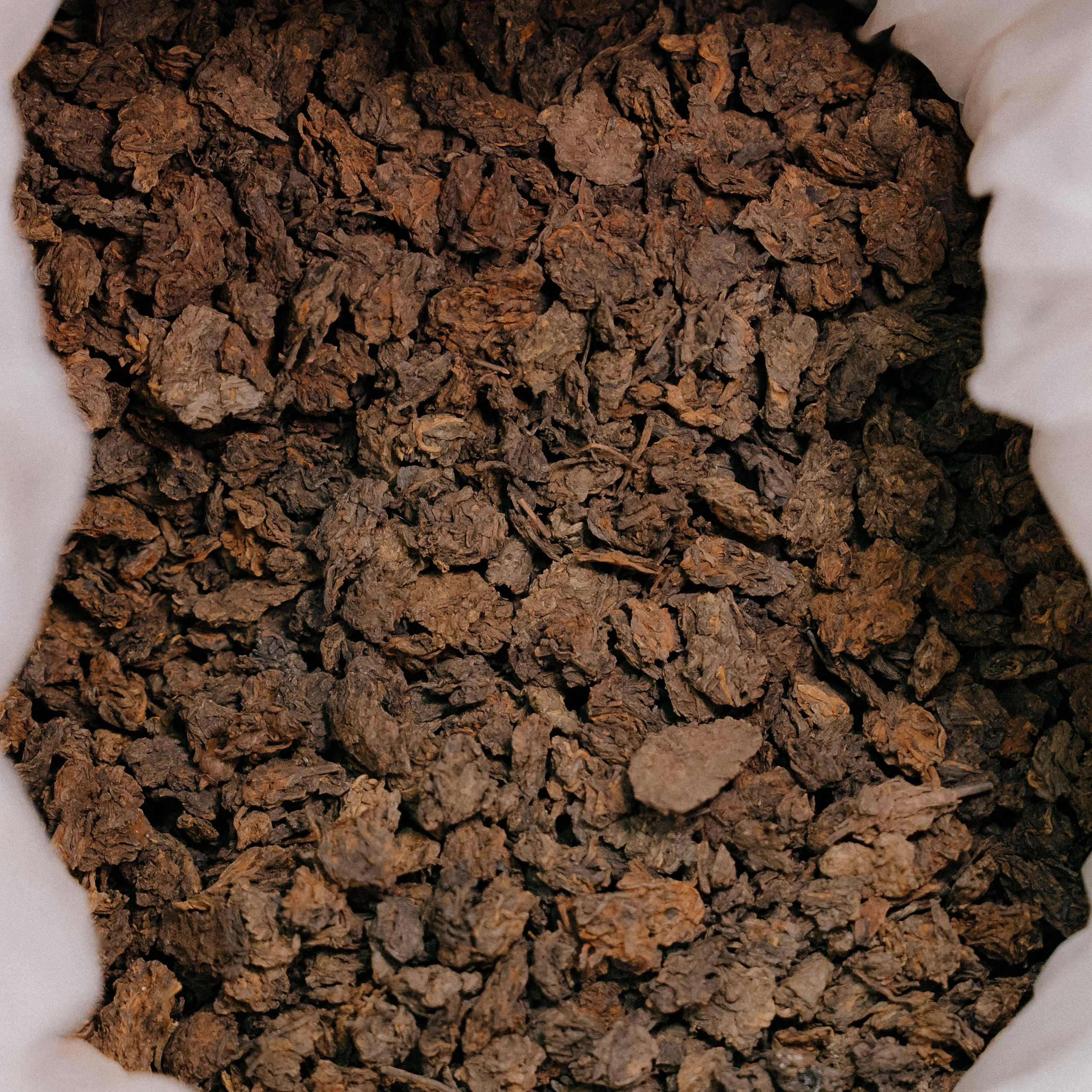 Айрочай. Фотограф Пермь | Чернушка | Копытов Игорь