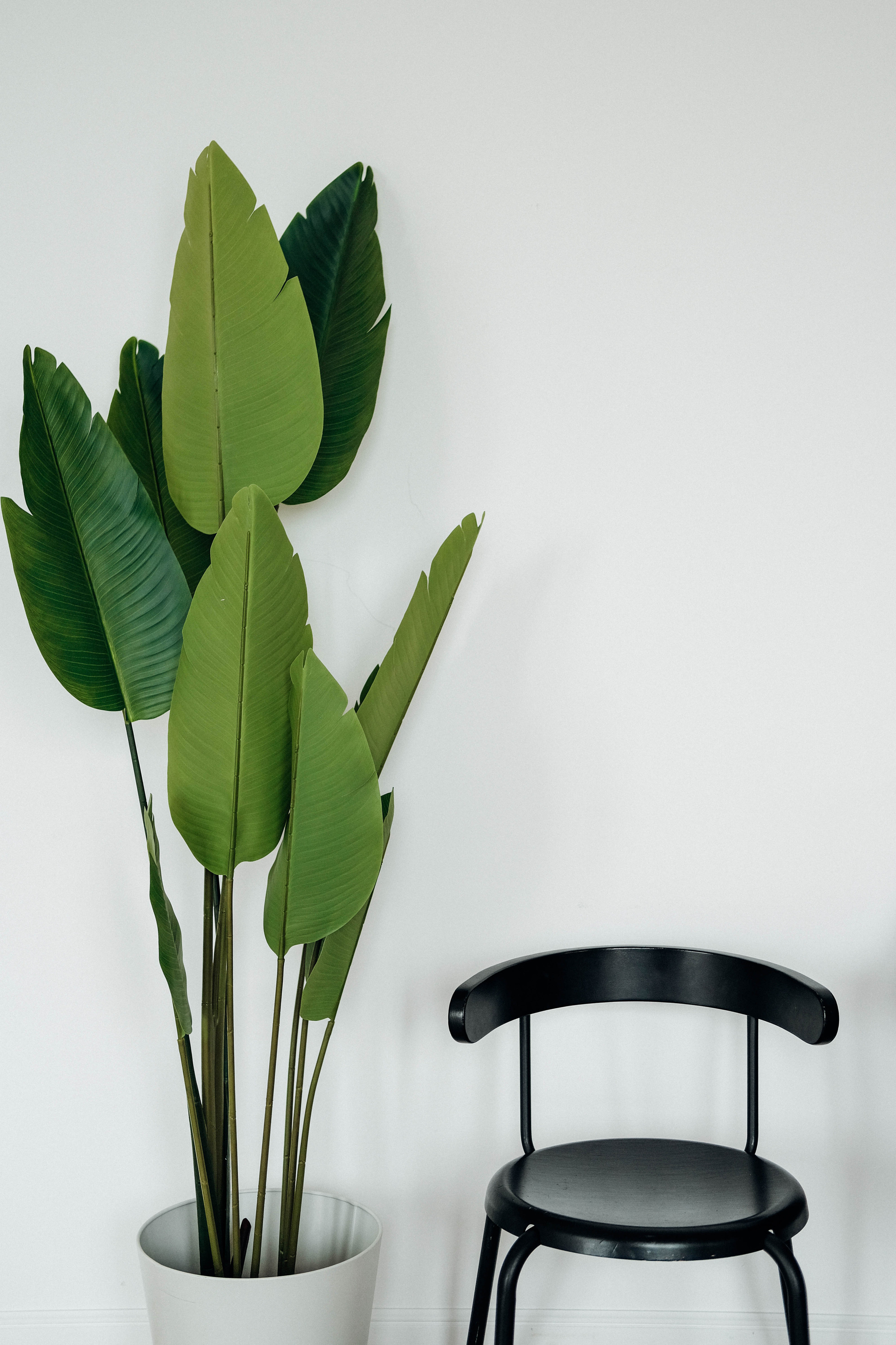 Ксения Бобрикова. Дизайнер. Arinazaletova