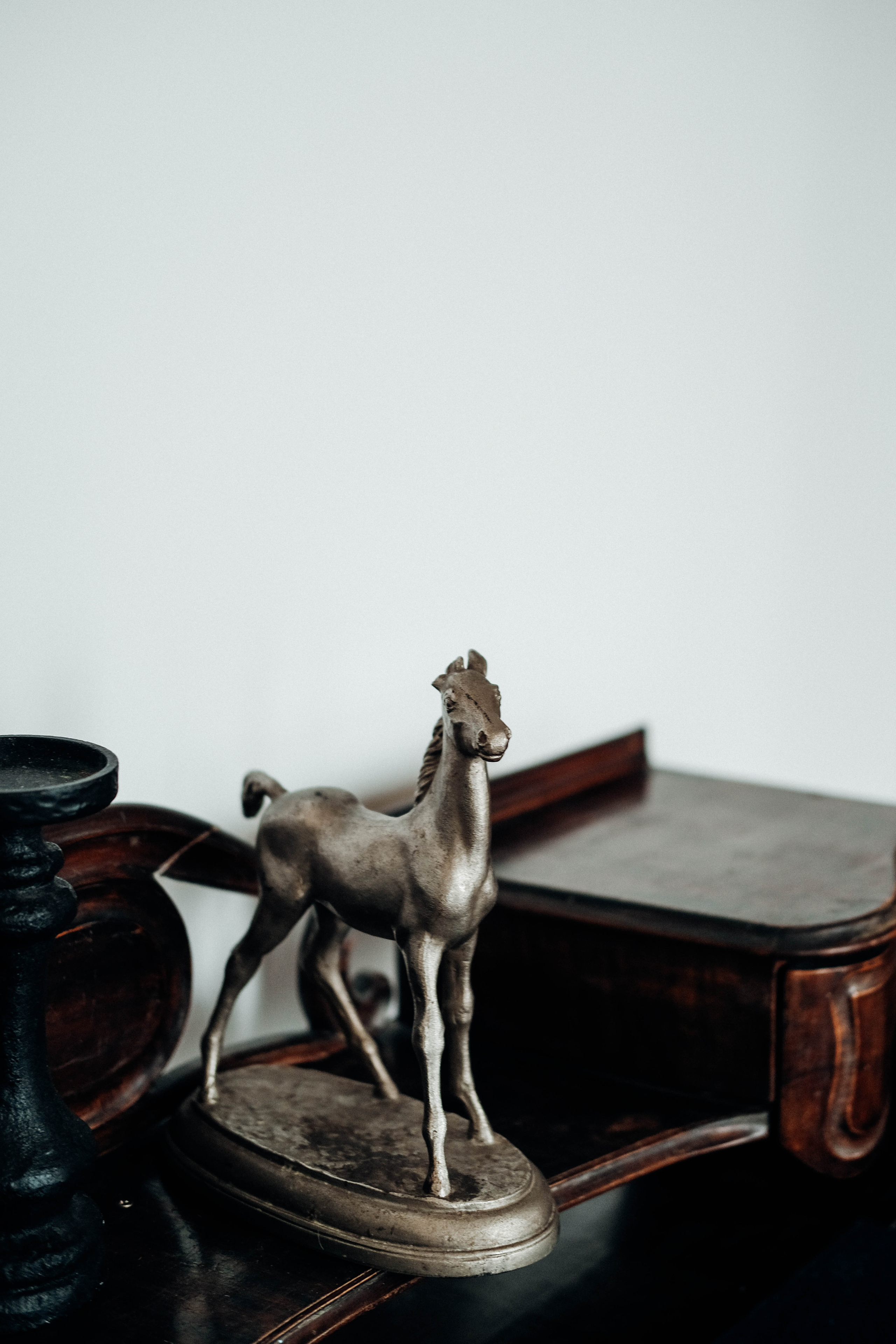 Ксения Бобрикова. Дизайнер. Arinazaletova